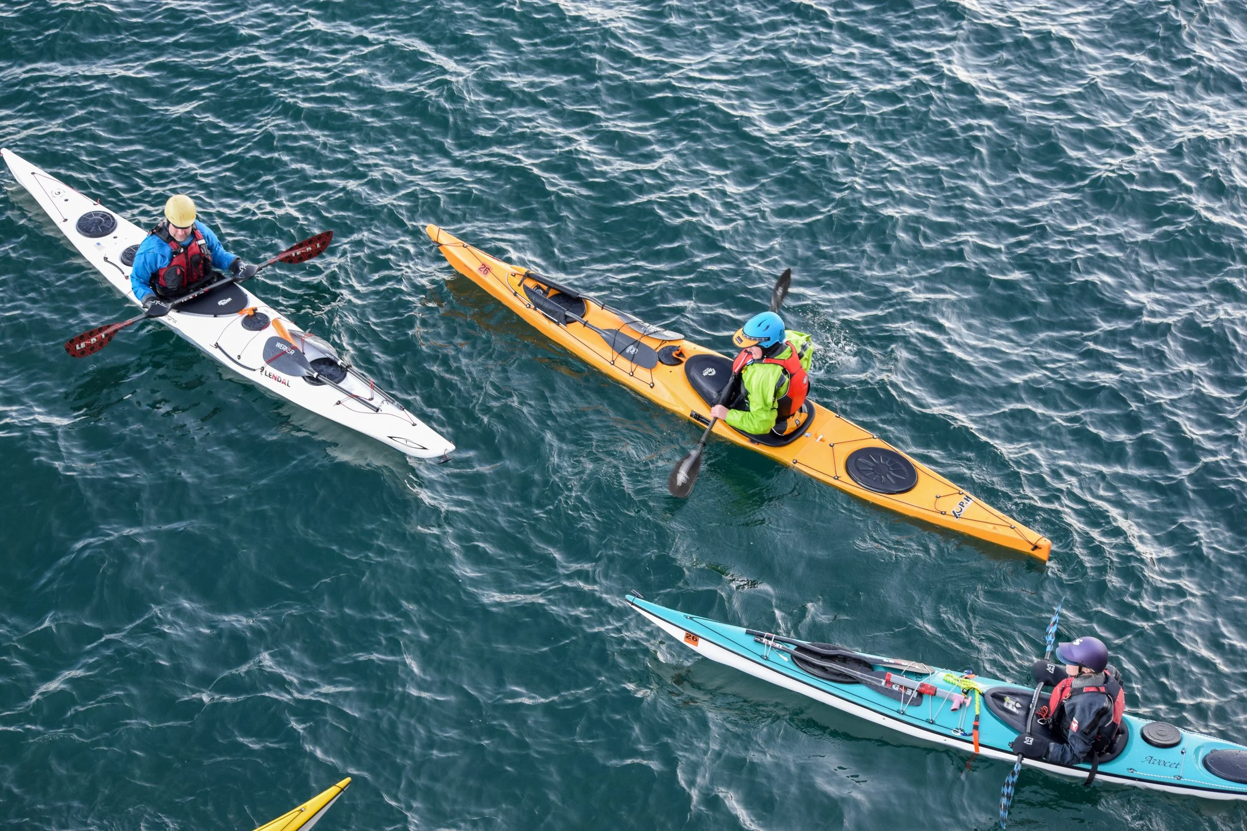 The Gales 2025-23.jpg