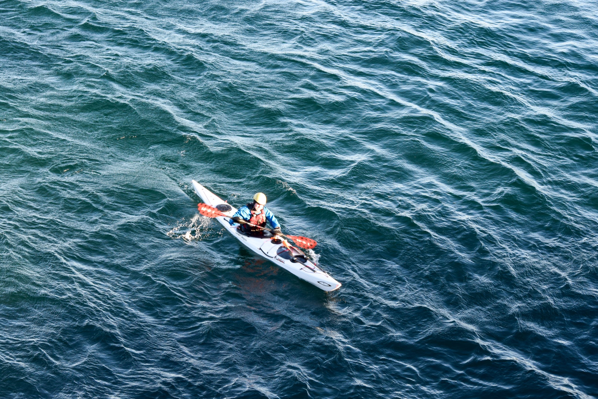 The Gales 2025-24.jpg