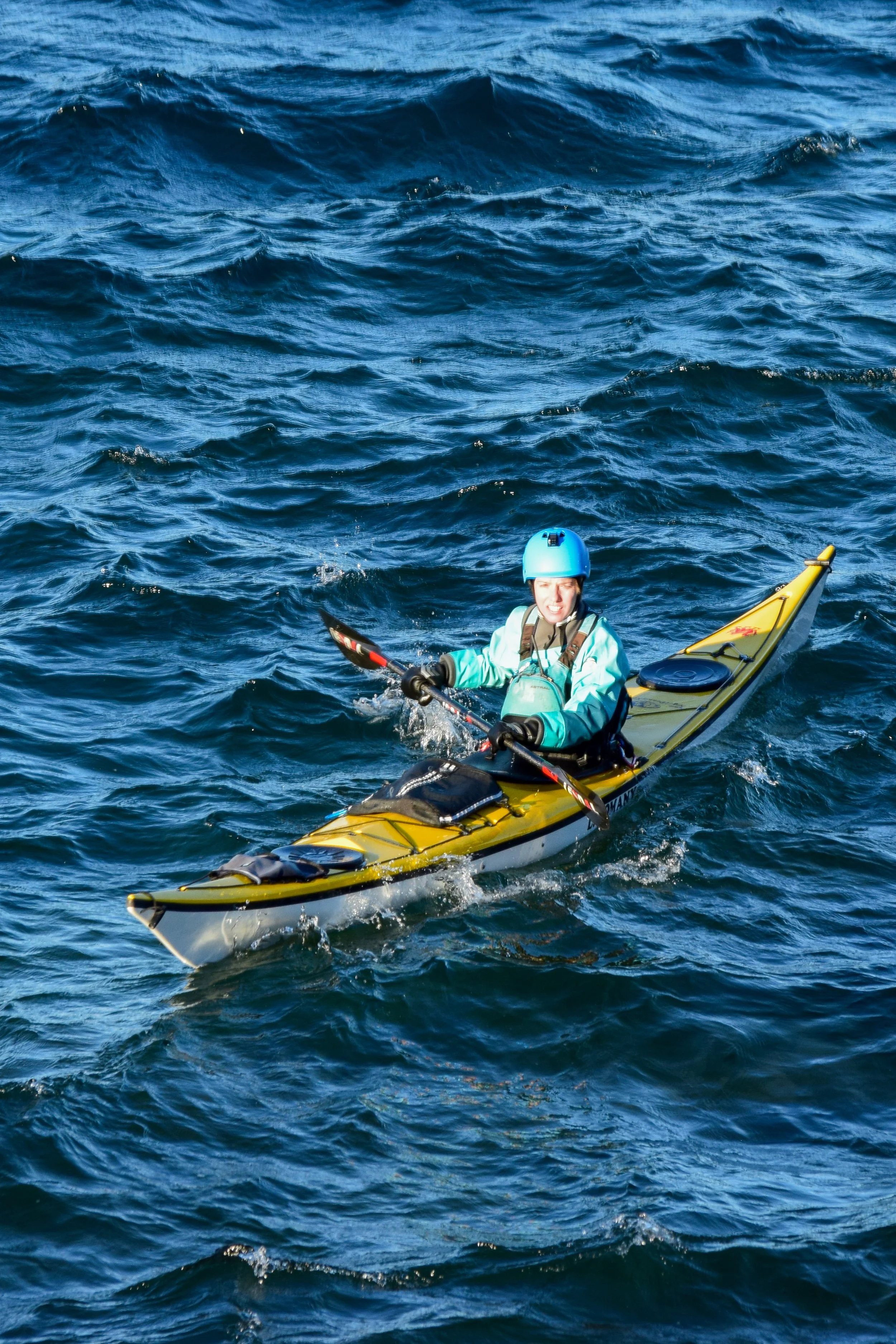 The Gales 2025-25.jpg