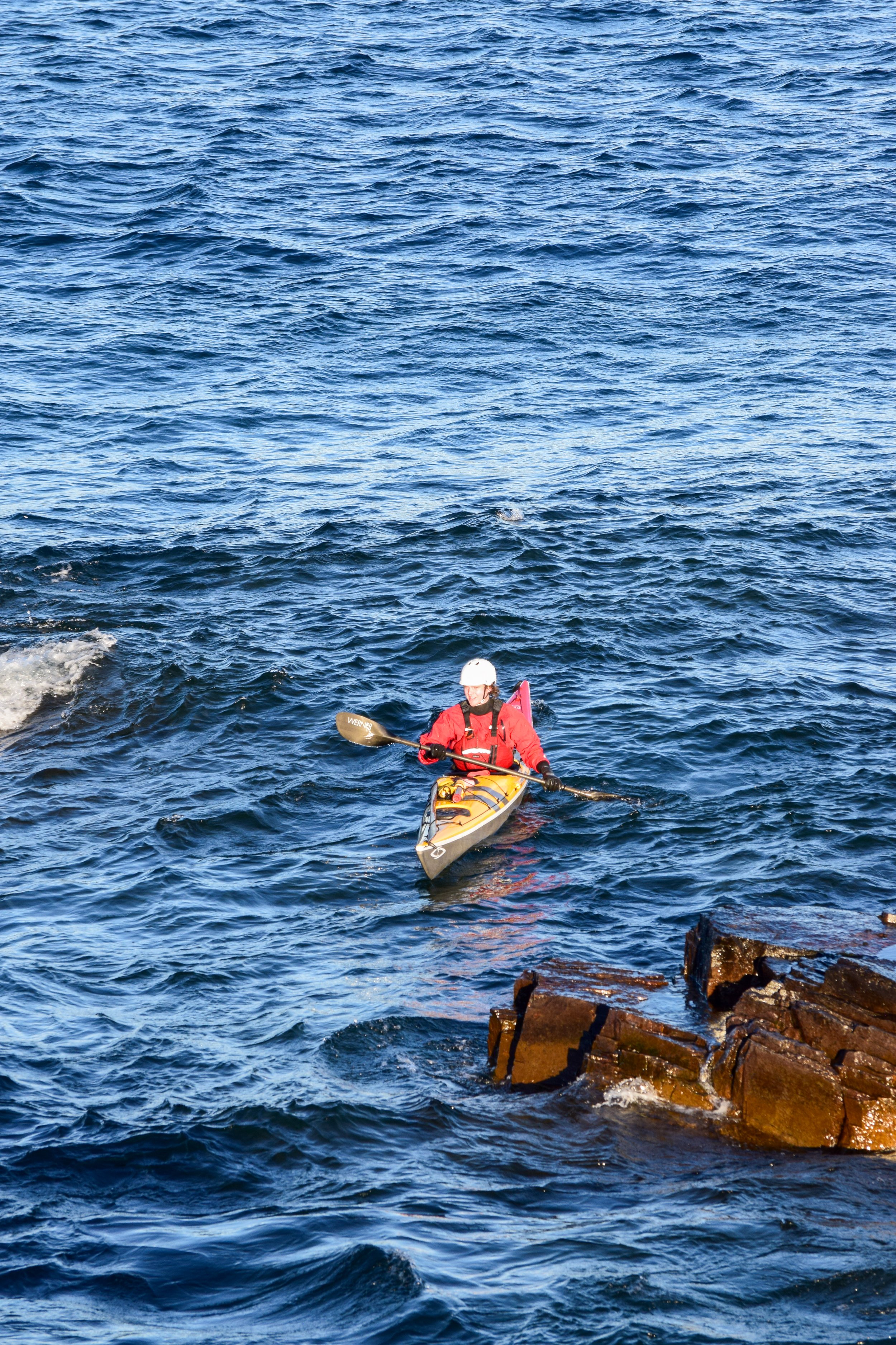 The Gales 2025-20.jpg