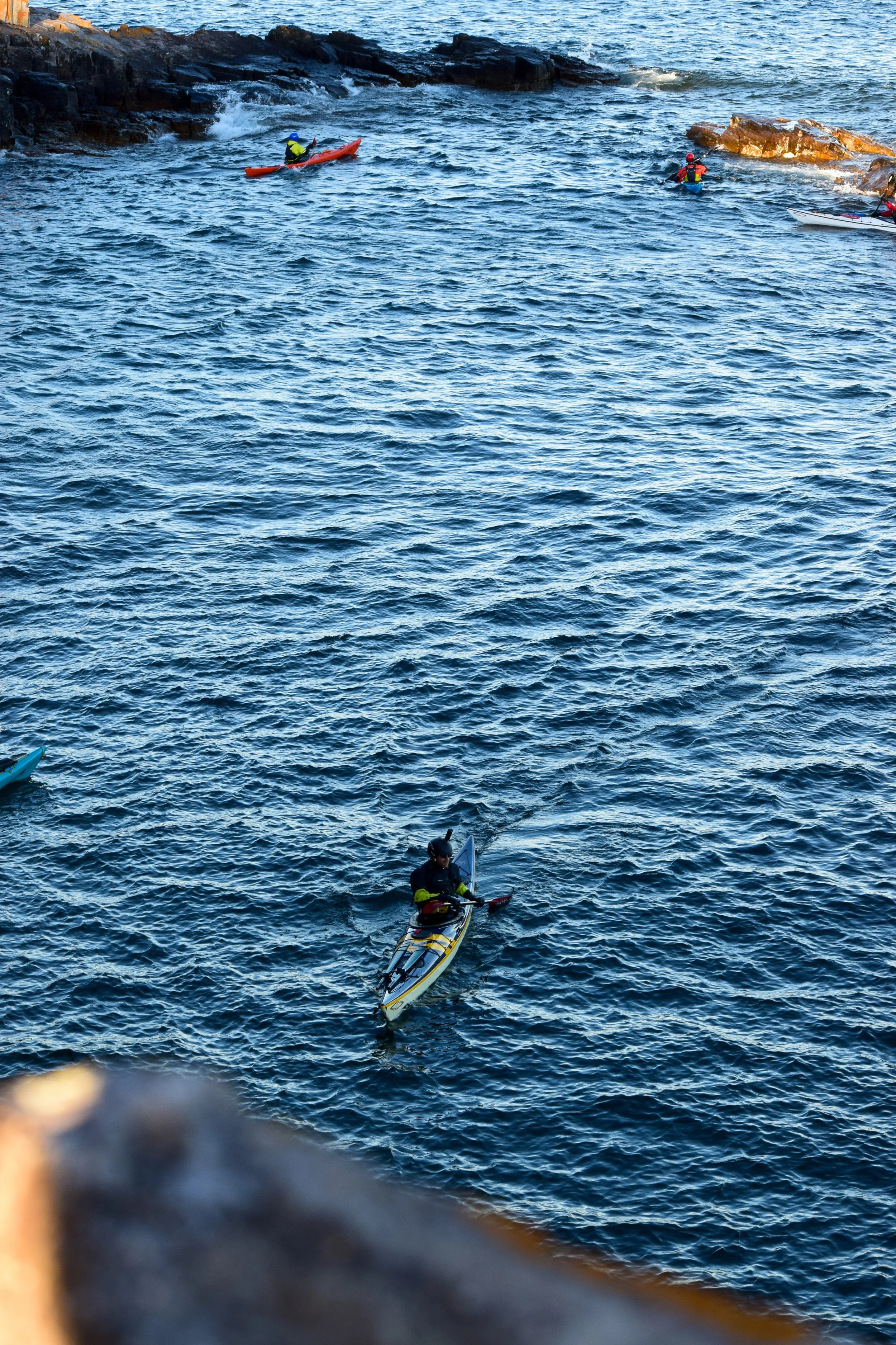 The Gales 2025-16.jpg