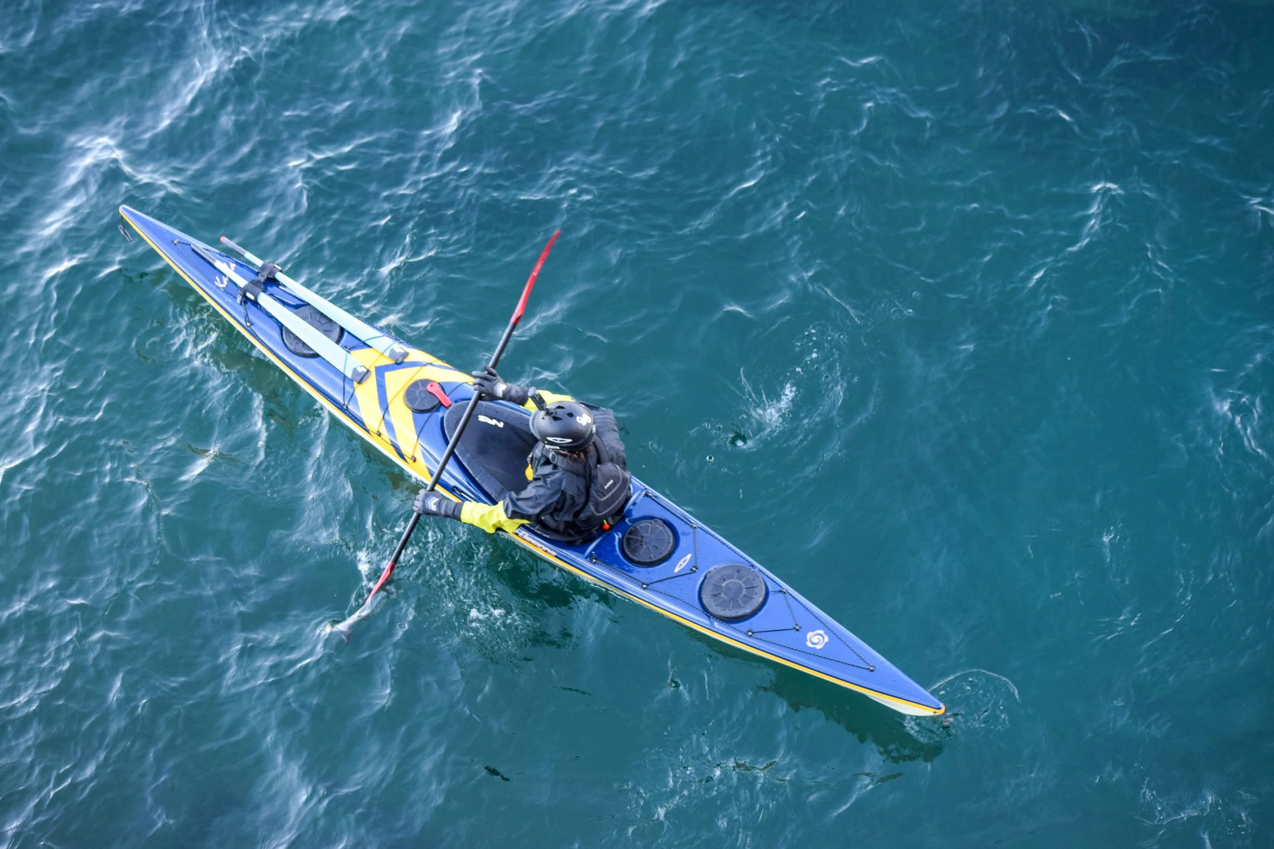 The Gales 2025-19.jpg