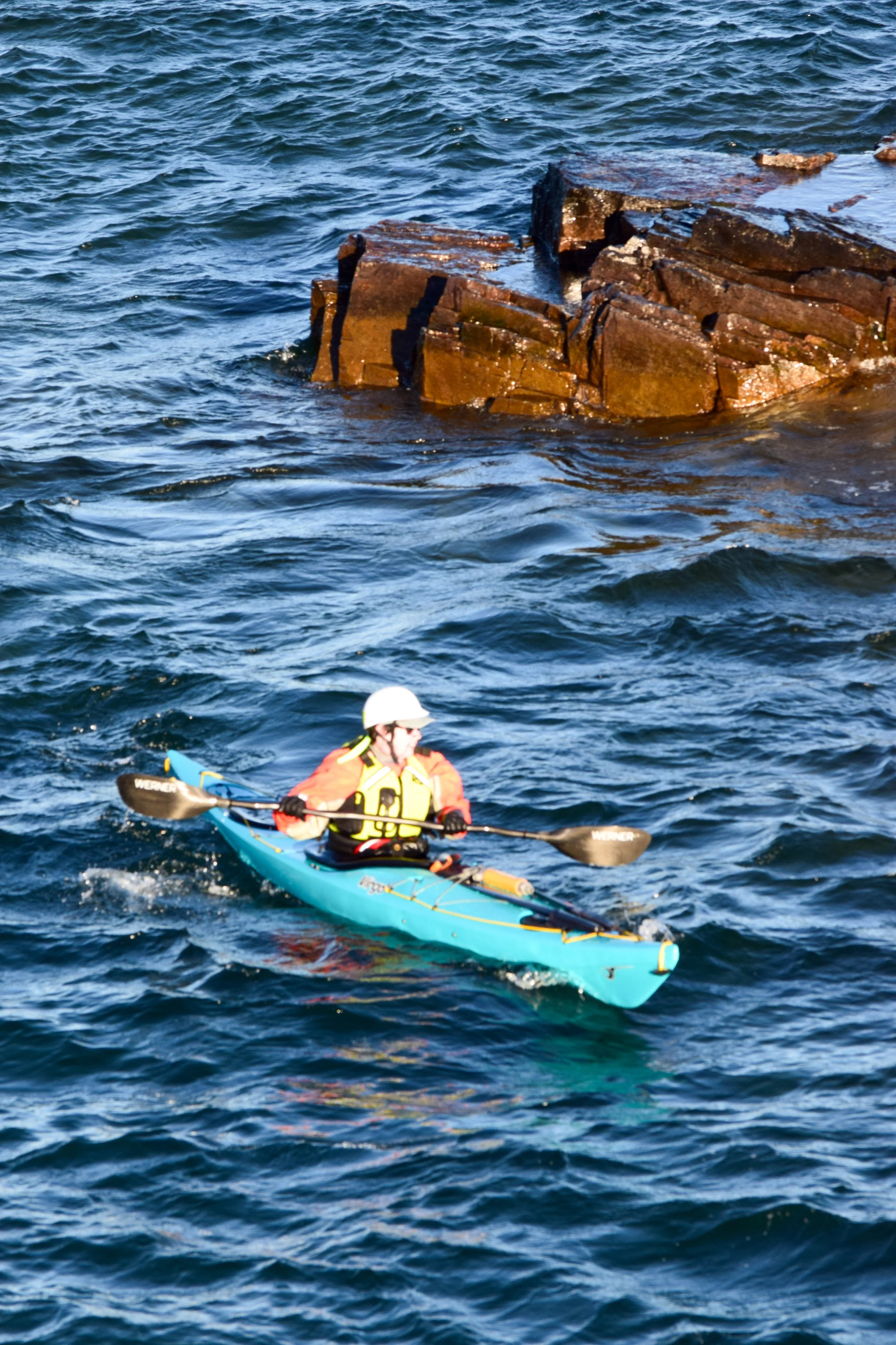 The Gales 2025-31.jpg