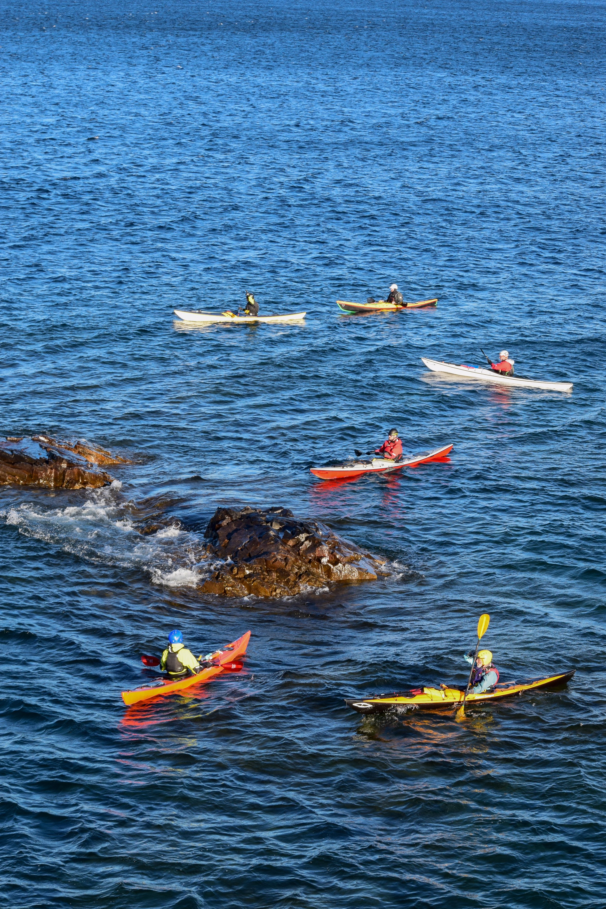 The Gales 2025-33.jpg