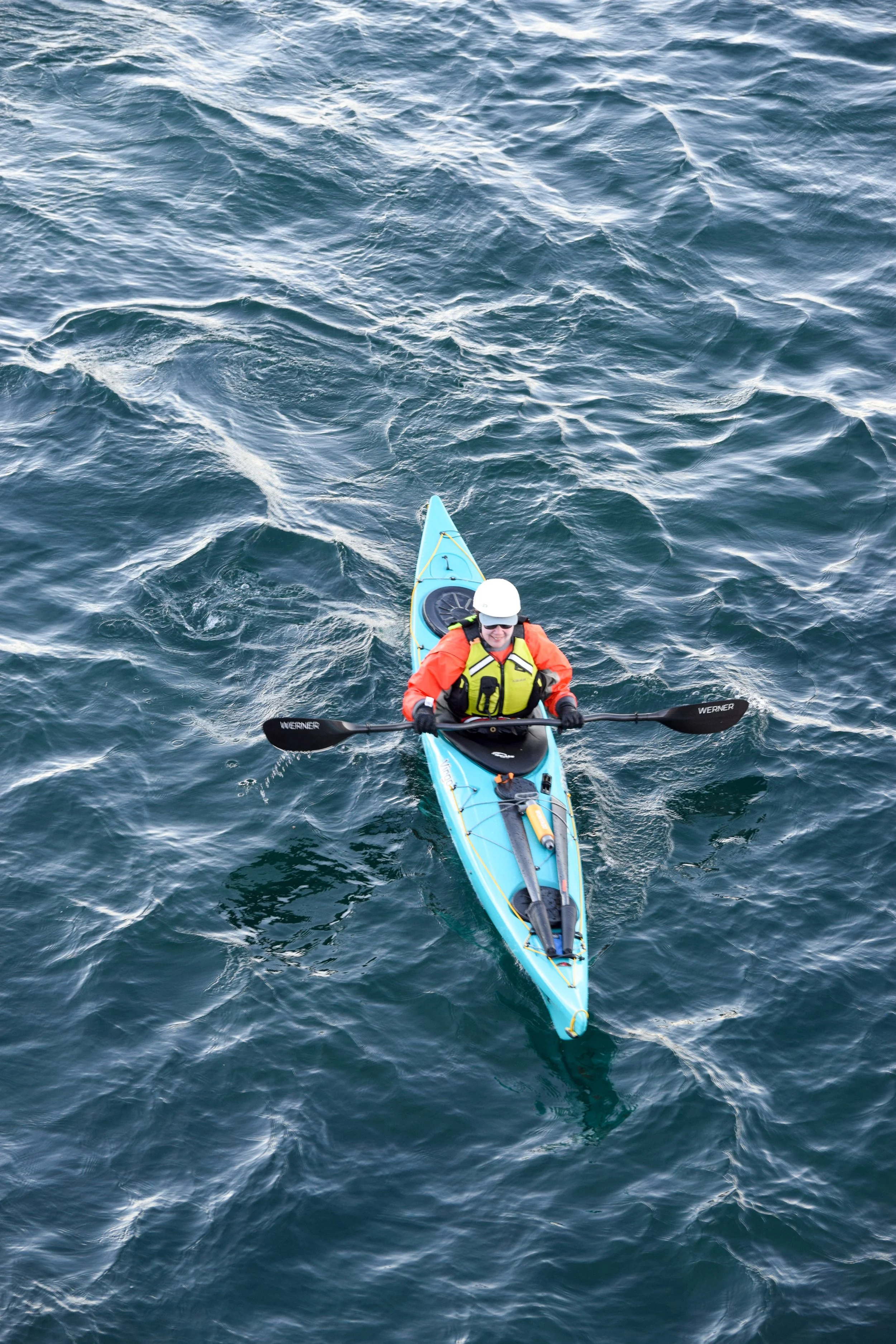 The Gales 2025-18.jpg