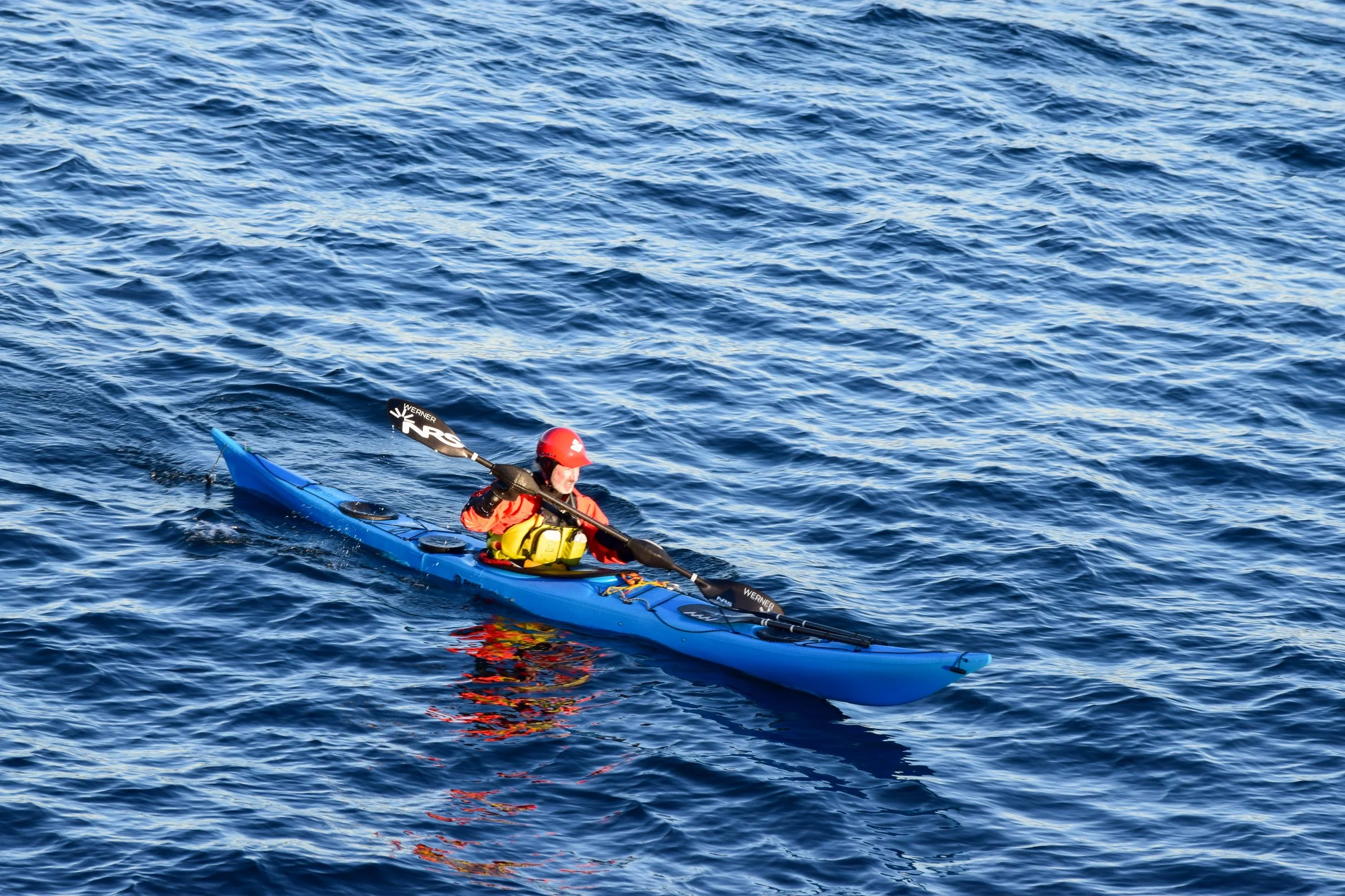 The Gales 2025-04.jpg