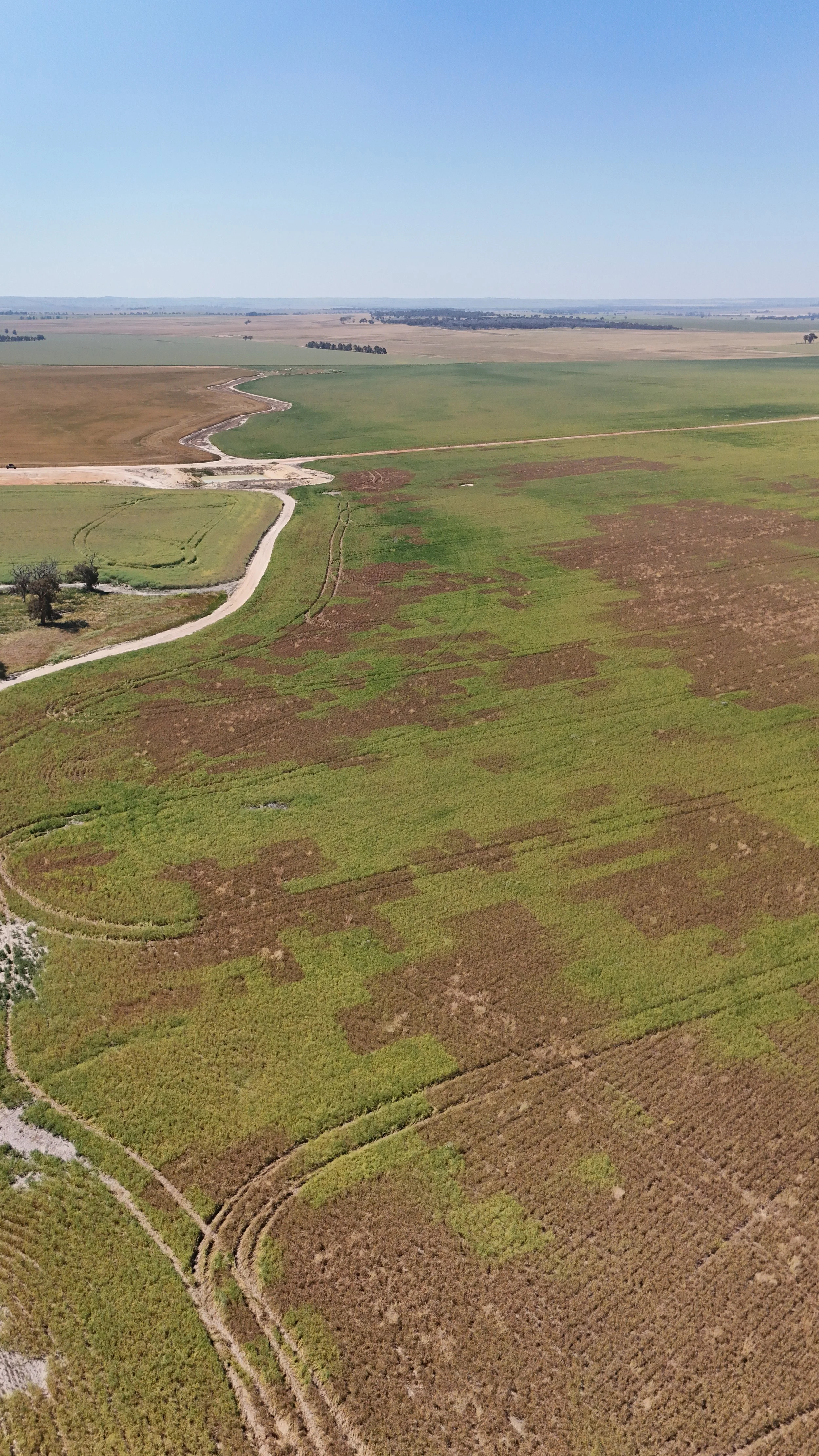 Image : Drone Image Post Spraying (Image taken by Jacob Turner)
