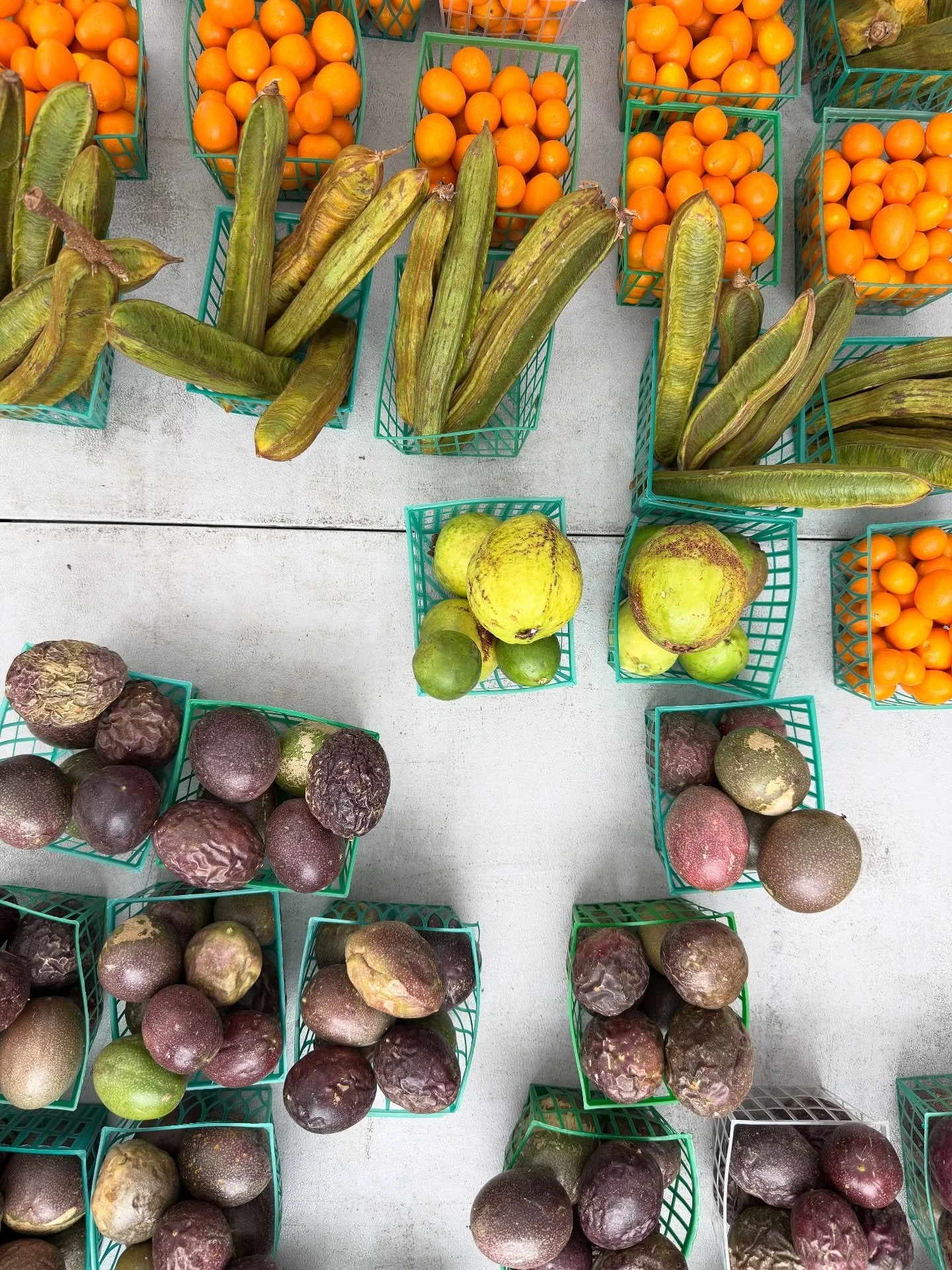 🍊 Farmers Markets in LA
Missig Team: LA Things To Do
Color, flavor, and community — LA’s farmers markets are where the city’s creative energy meets its local roots. Whether it’s Hollywood, Santa Monica, or Silver Lake, every