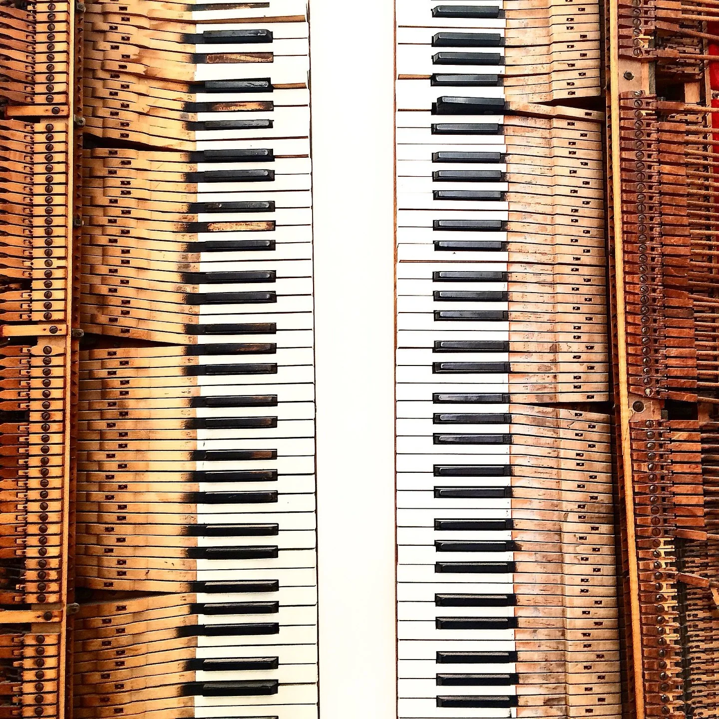 🎹 LA Music + Design
Missig Team: LA Things To Do
Los Angeles isn’t just where music happens — it’s where music lives. From hidden jazz clubs to world-class studios, the city’s soundscape is as textured and layered as its arc