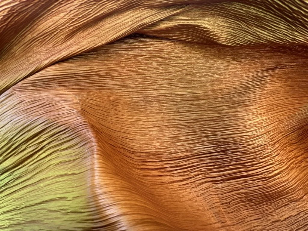 Missig Team, a real estate team at Berkshire Hathaway HomeServices California Properties in Beverly Hills and Los Angeles. Phil Missig's photo of texture - a dried palm fronds.