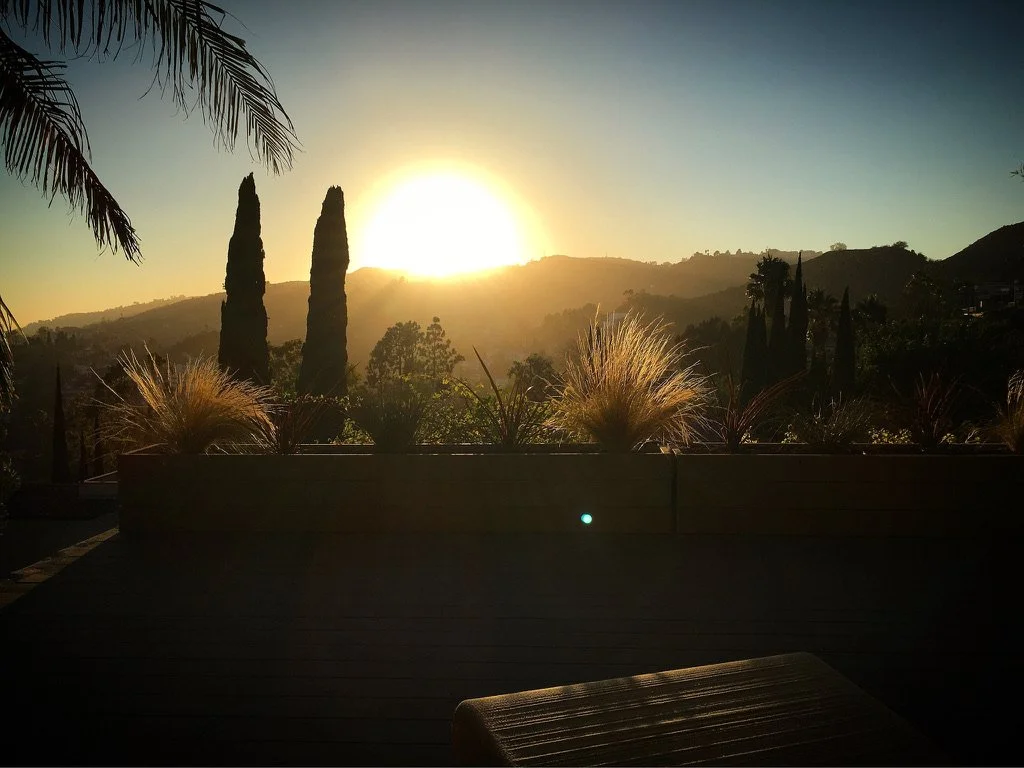 Hollywood Hills, Sunset over hills with trees, including palm and cypress trees, in a landscape view from a balcony or patio with potted plants and a bench in the foreground.