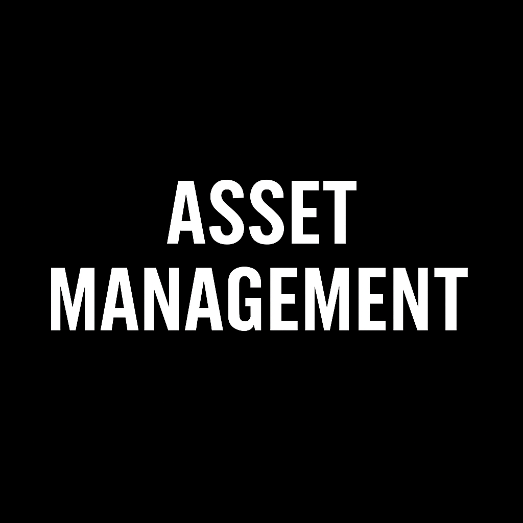 Black background with white text that reads 'Asset Management' in bold capital letters.