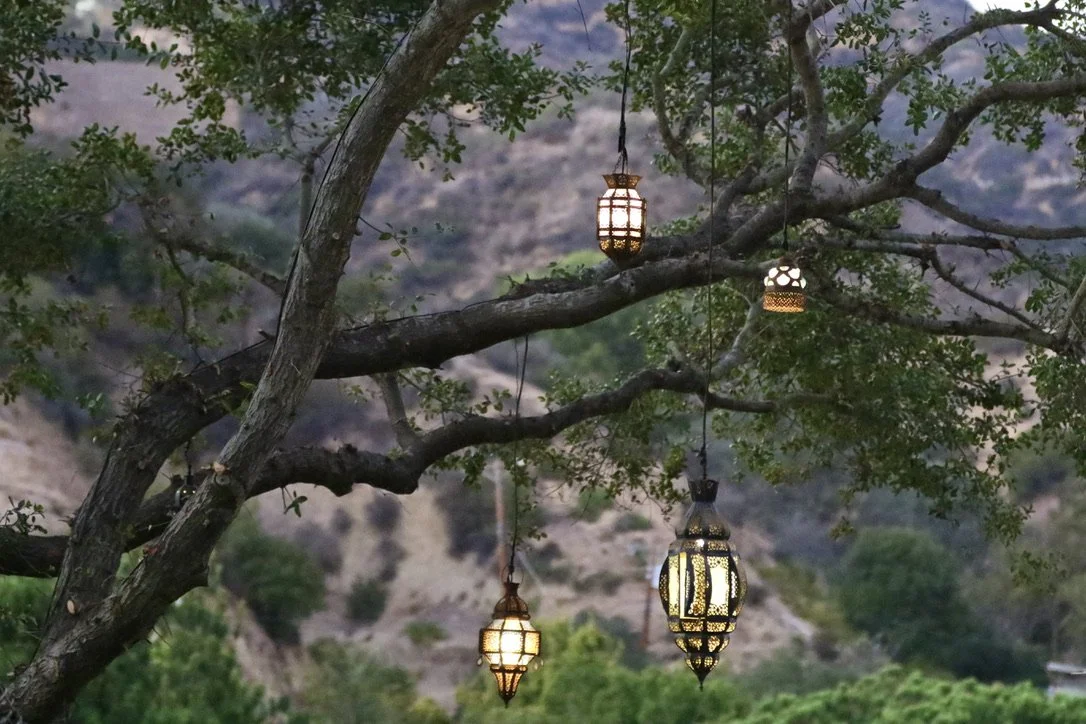 Phil Missig's photo of a California Oak tree with lanterns hangin from the branches in the Hollywood Hills.