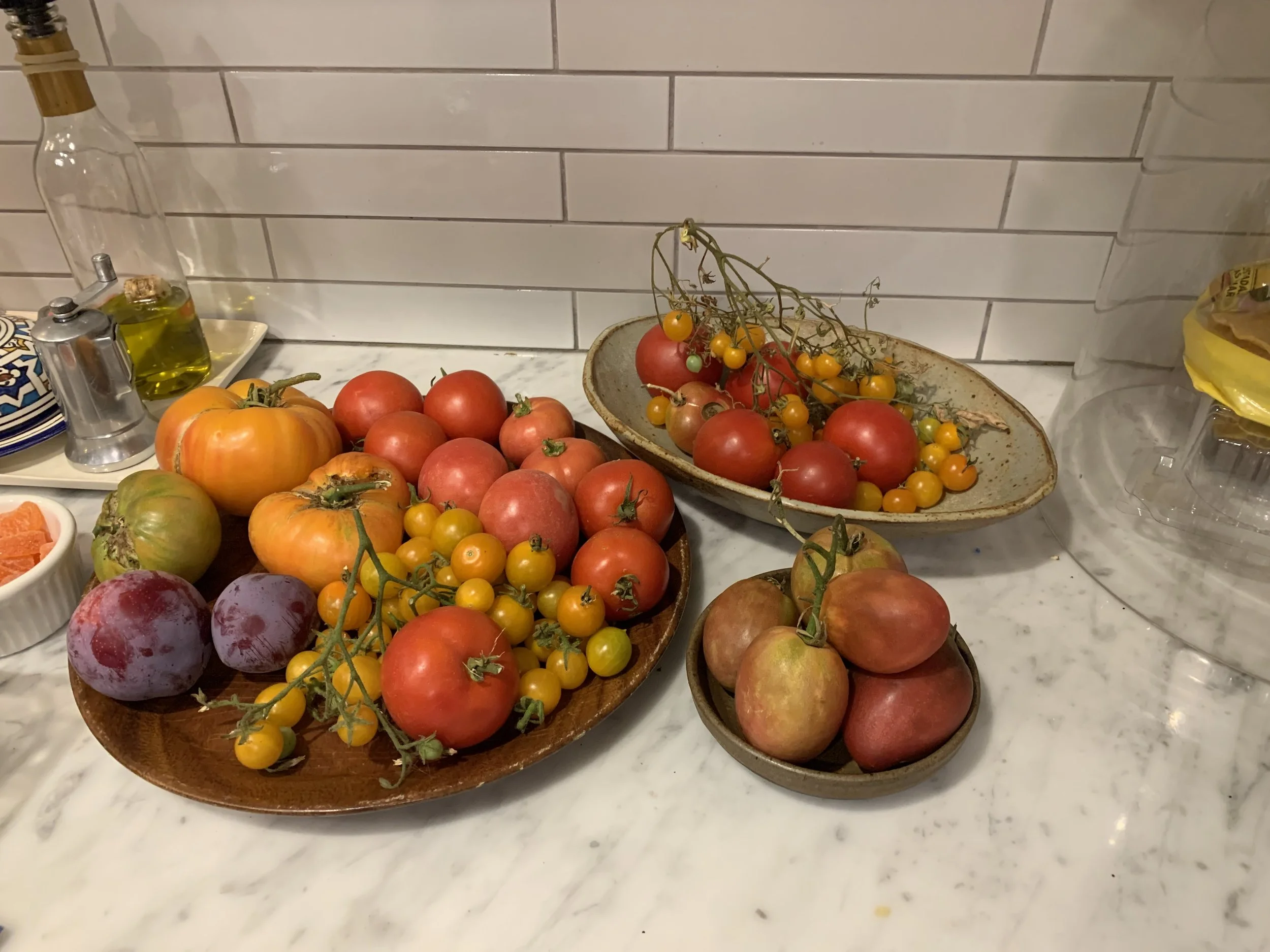 A variety of fresh tomatoes including heirloom, cherry, and standard types arranged on a kitchen counter.