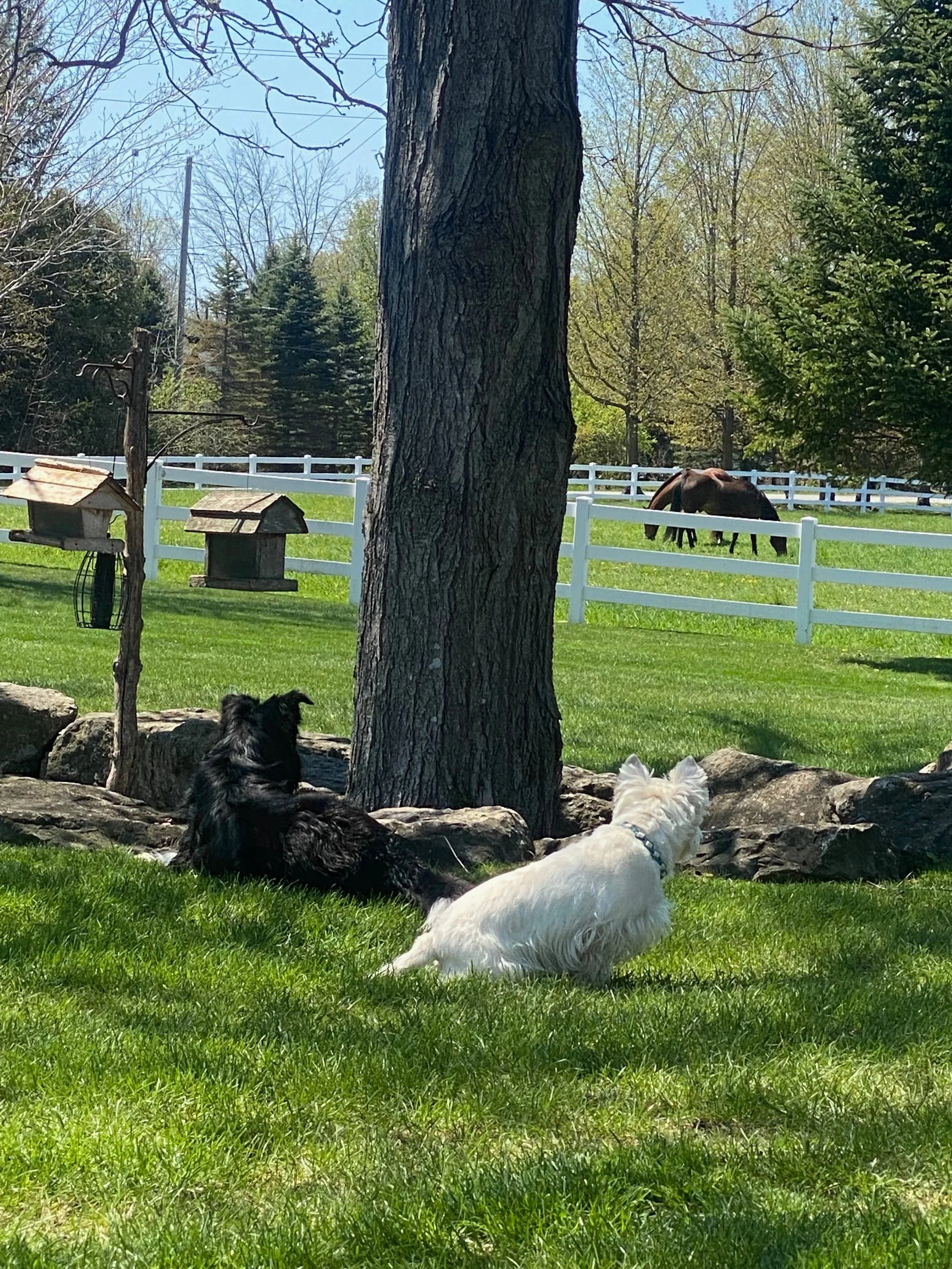 IMG_8566.jpg
