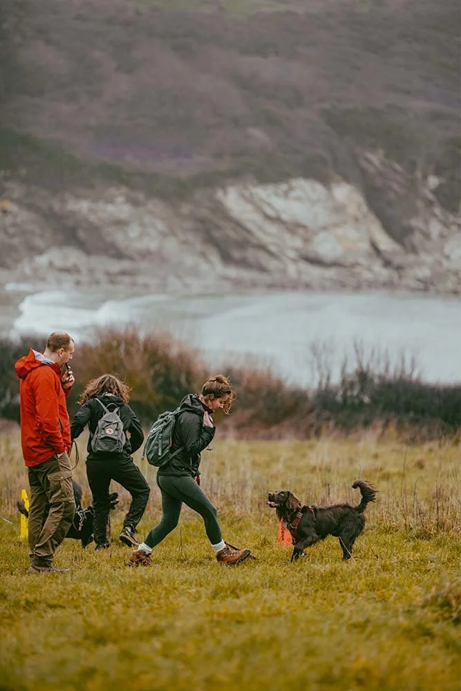 A sprollie at a pet gundog training class in Cornwall, they're training in the grass overlooking Maenporth beach