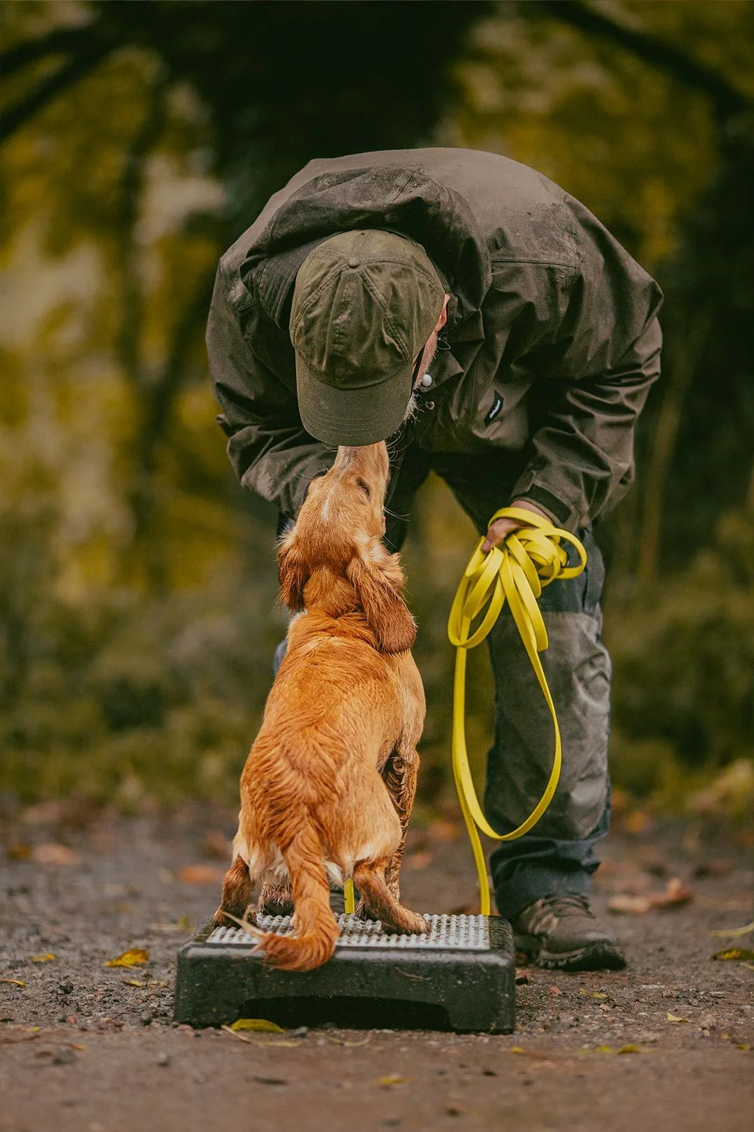A man in outdoor gear bends down to give a nose kiss to a golden retriever puppy on a raised platform, holding a yellow leash.