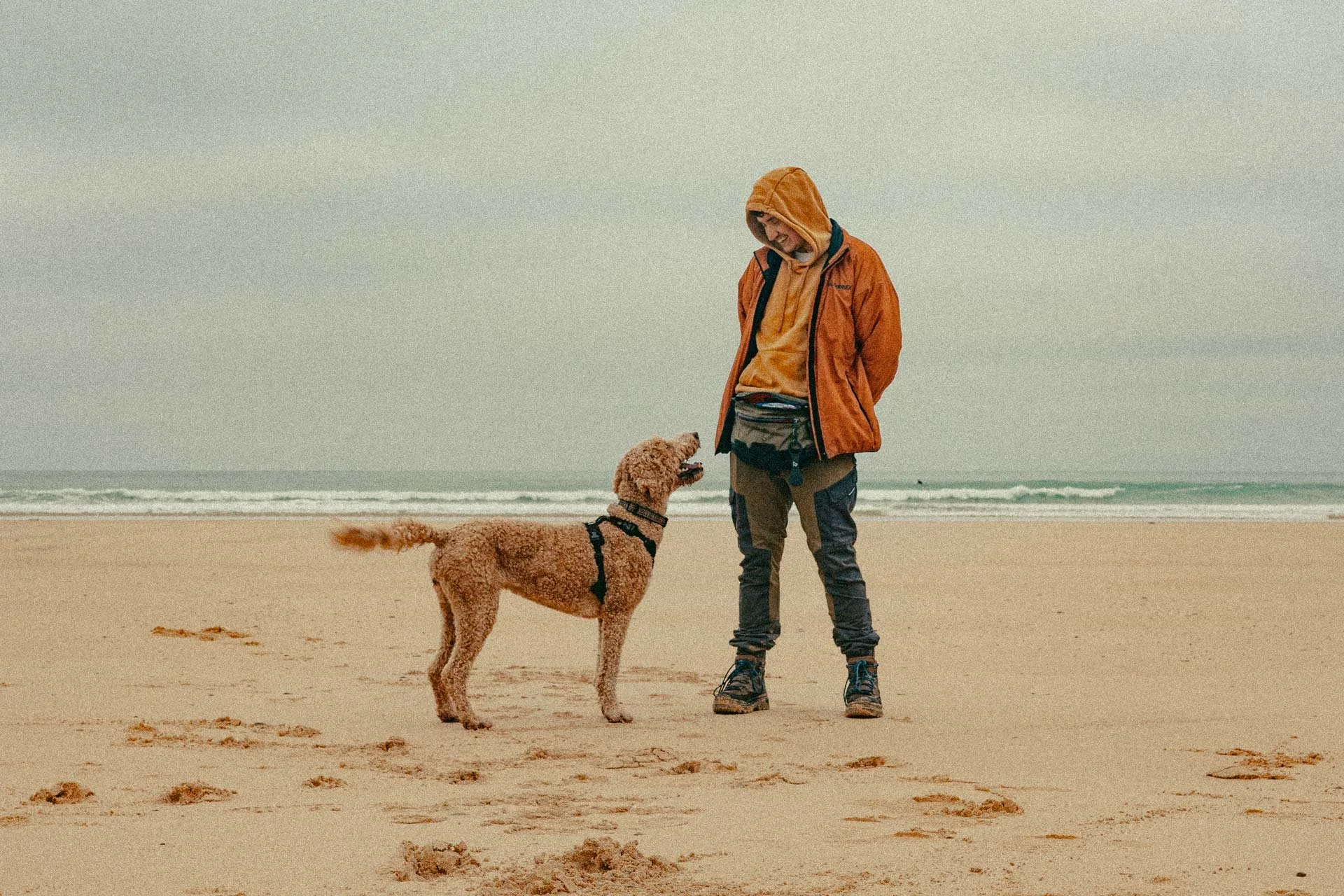 A man and a dog on the beach, the man wearing an orange jacket and yellow hoodie, the dog looking up at him.