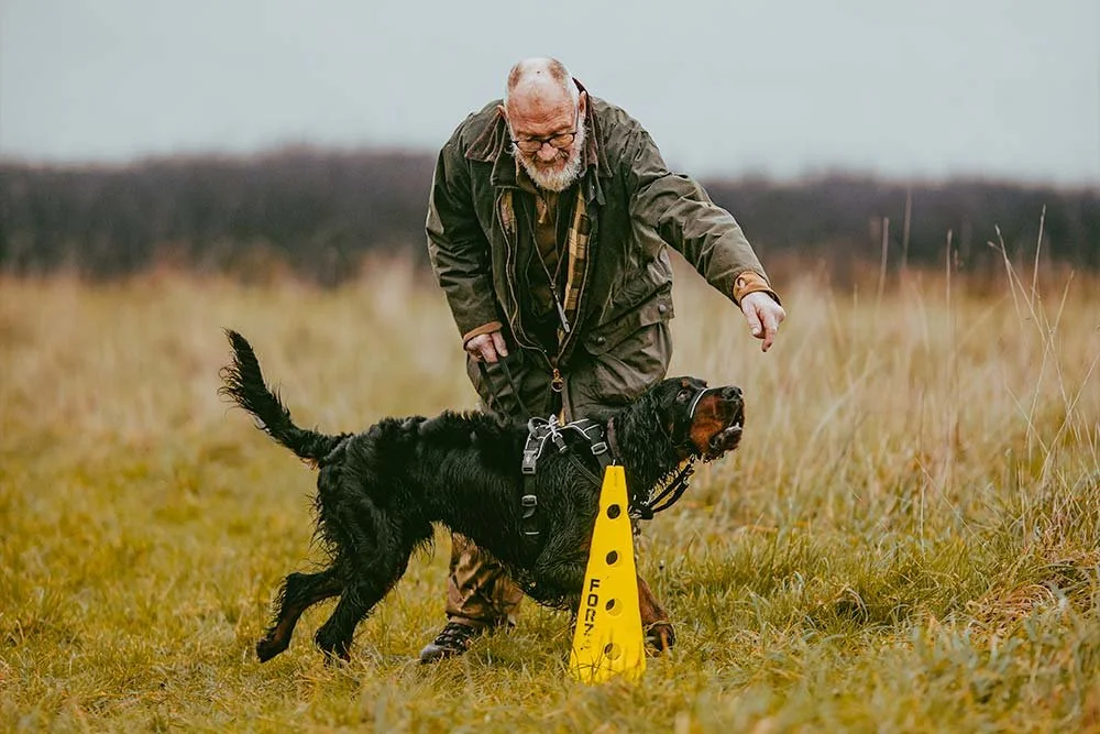 A man and his Gordon setter at a gundog training class in Falmouth, Cornwall