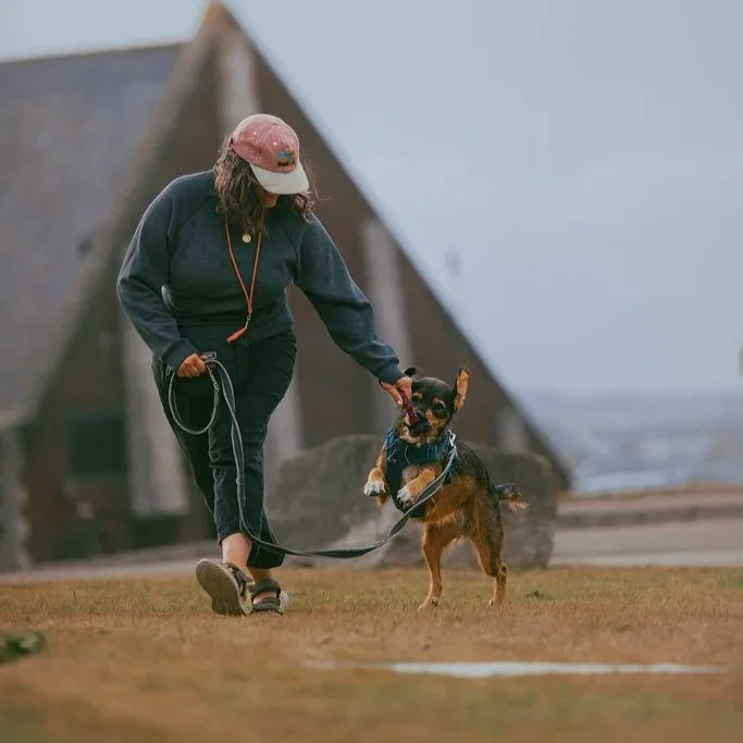 Person walking a dog on a leash outdoors with a house and cloudy sky in the background.