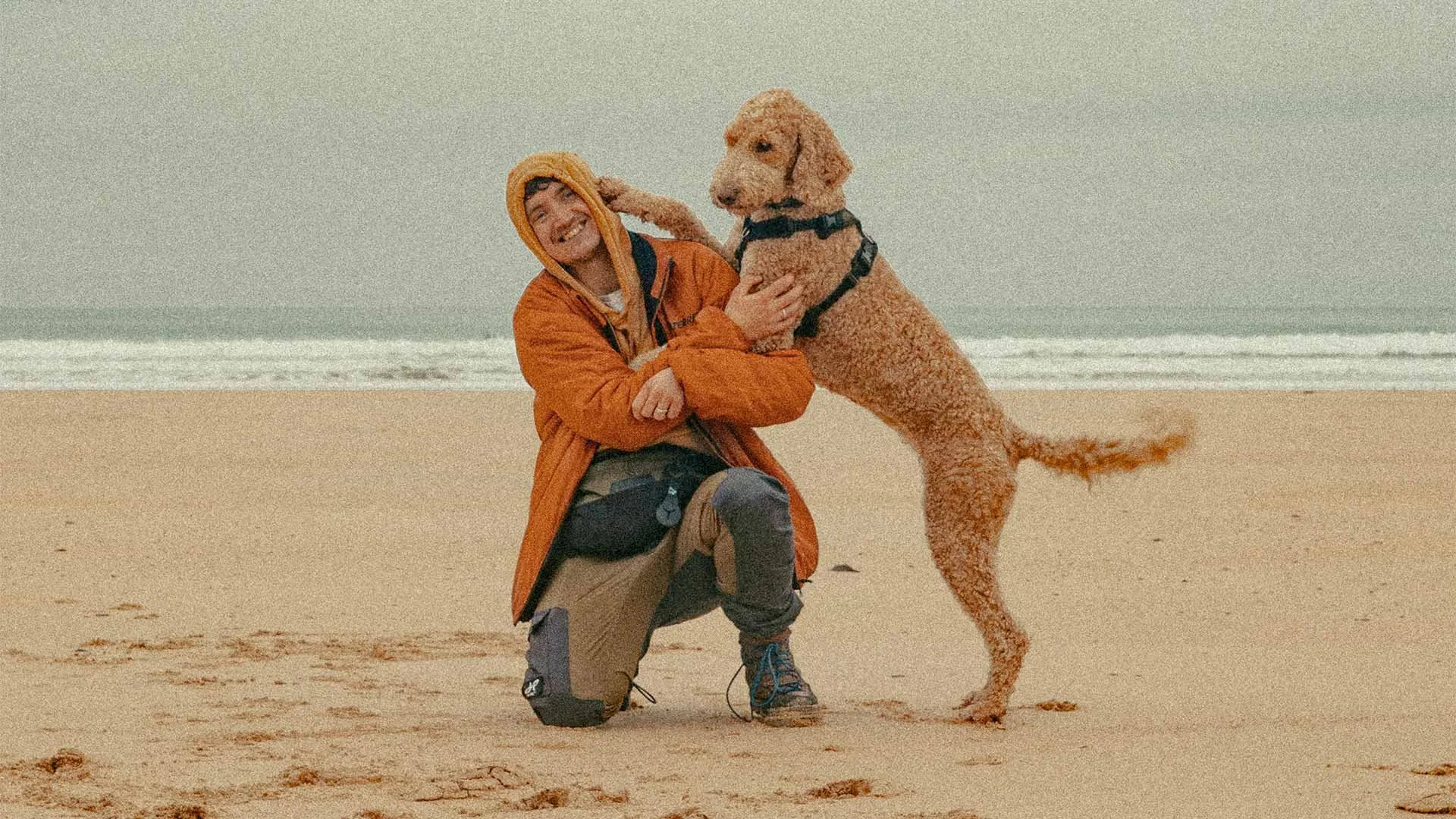 A person in an orange jacket and brown pants kneels on a sandy beach, smiling, while a large curly-haired dog in a harness stands on its hind legs, leaning against the person and touching their head with a paw. The ocean and sky are in the background.