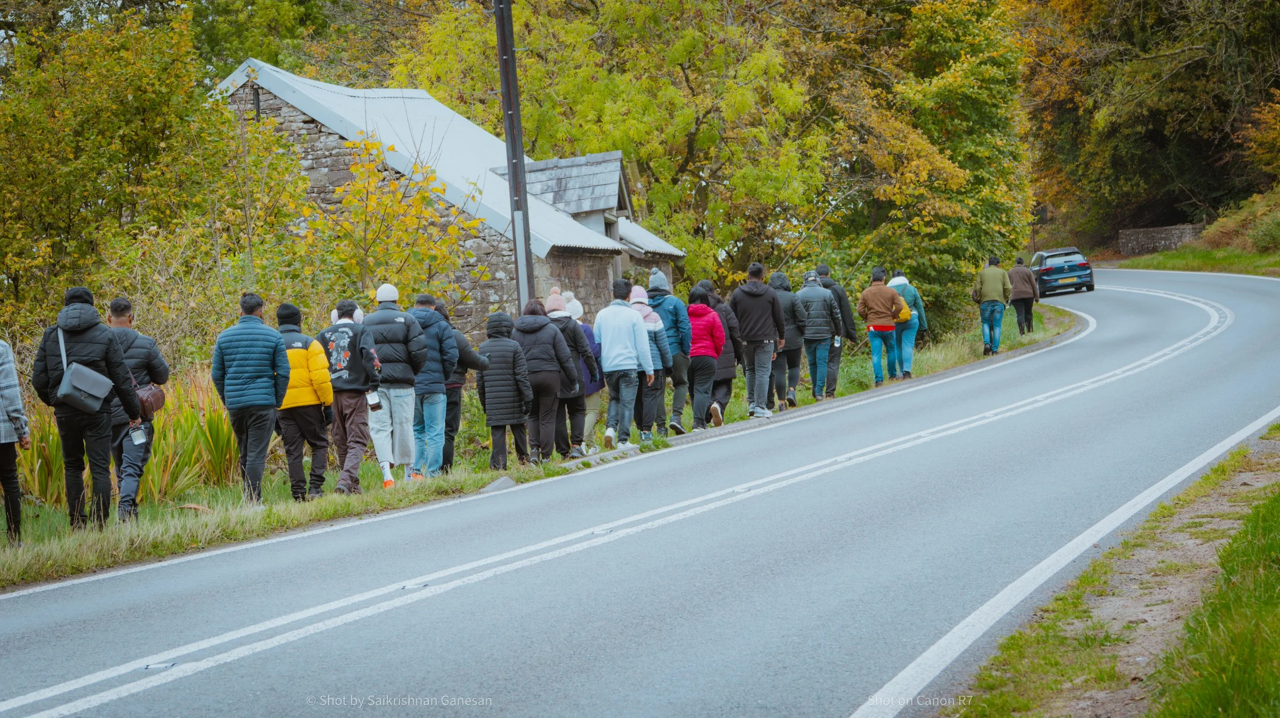 A group of people walking along a winding road in a forested area during autumn.