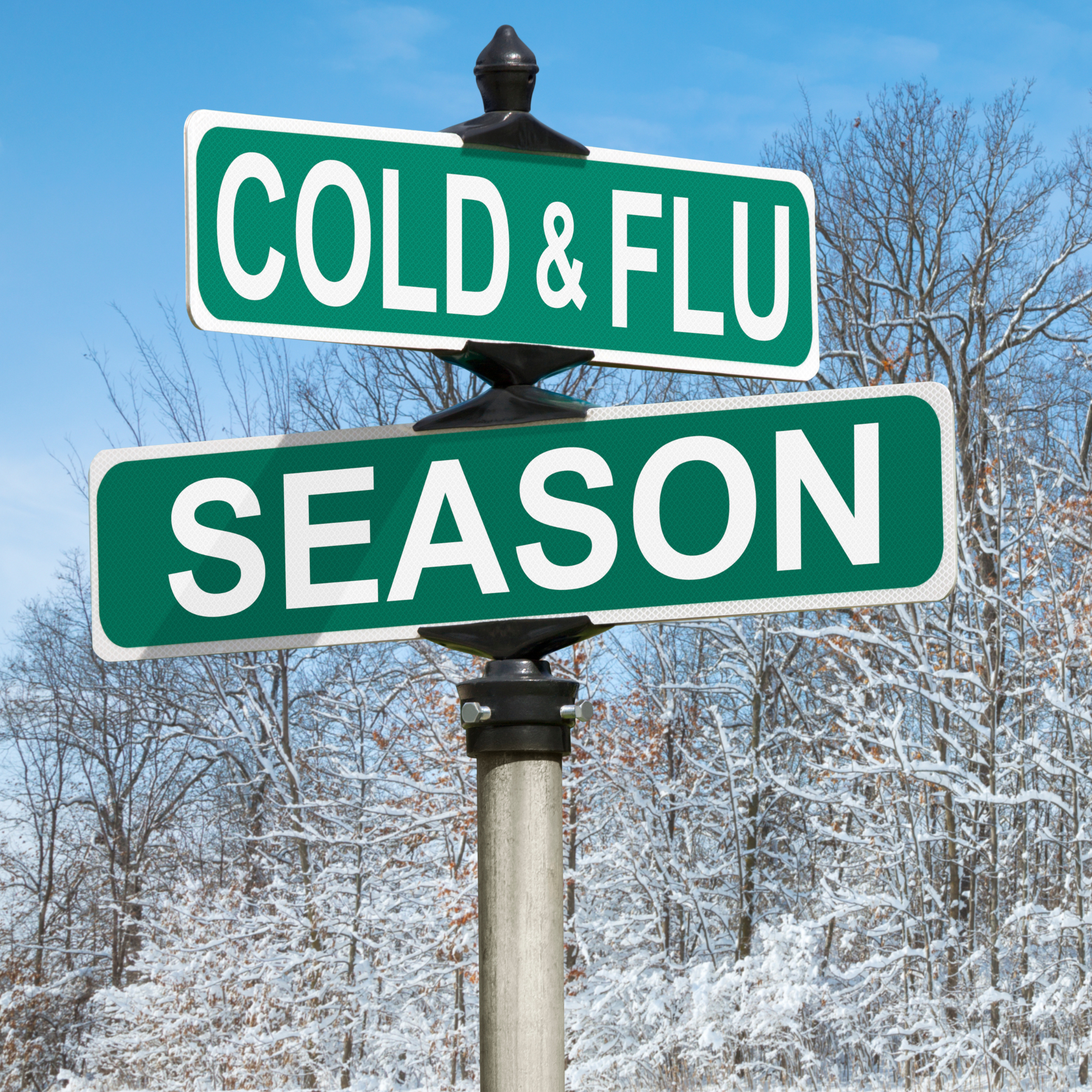 Stay Strong This Cold and Flu Season: Tips to Support Your Immune System