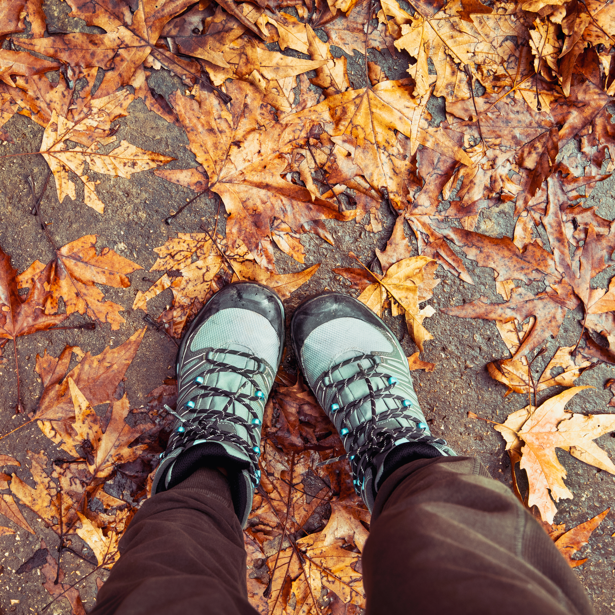 Why Fall Fatigue Hits Hard and How to Beat It Naturally