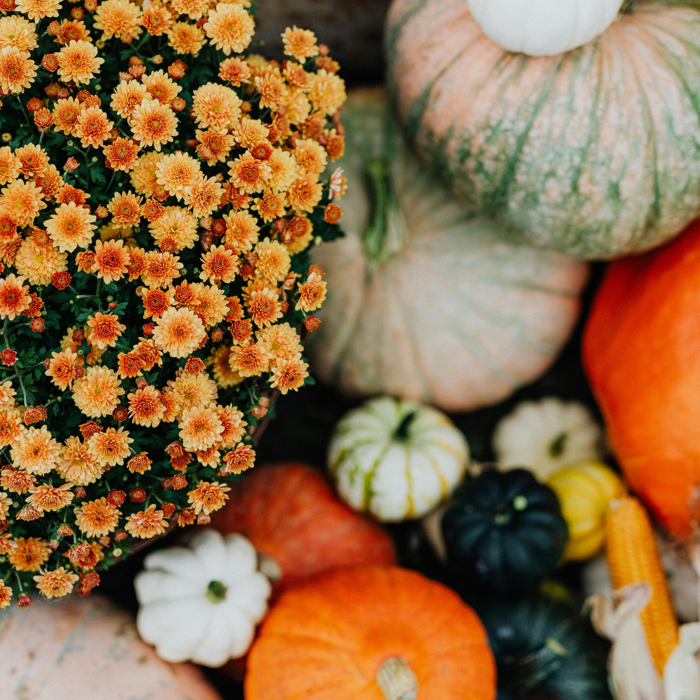 Your Holiday Detox Secret: Glutathione to Keep You Energized and Stress-Free