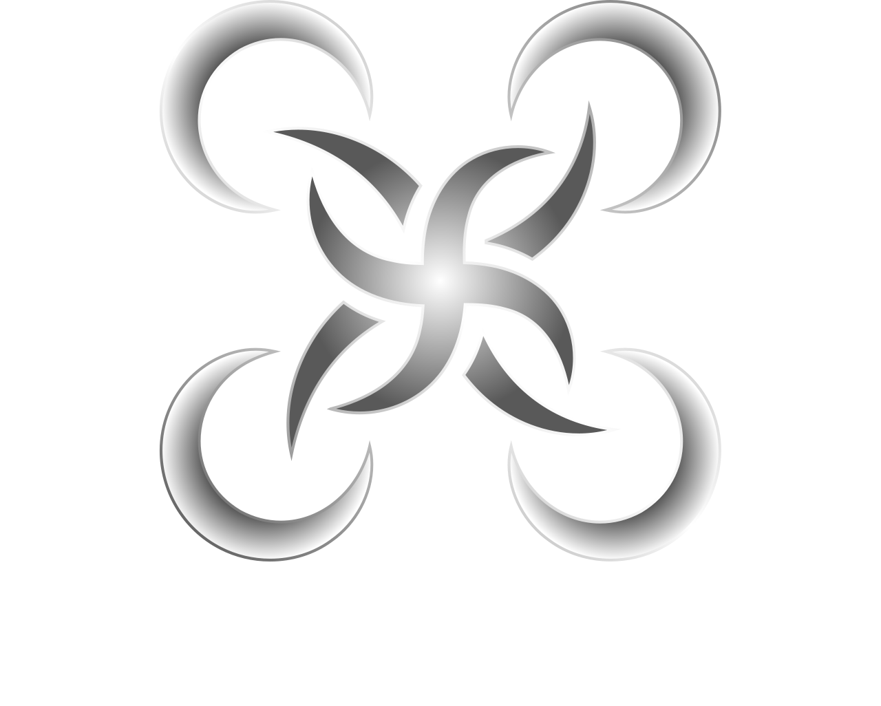 DroneViews, LLC