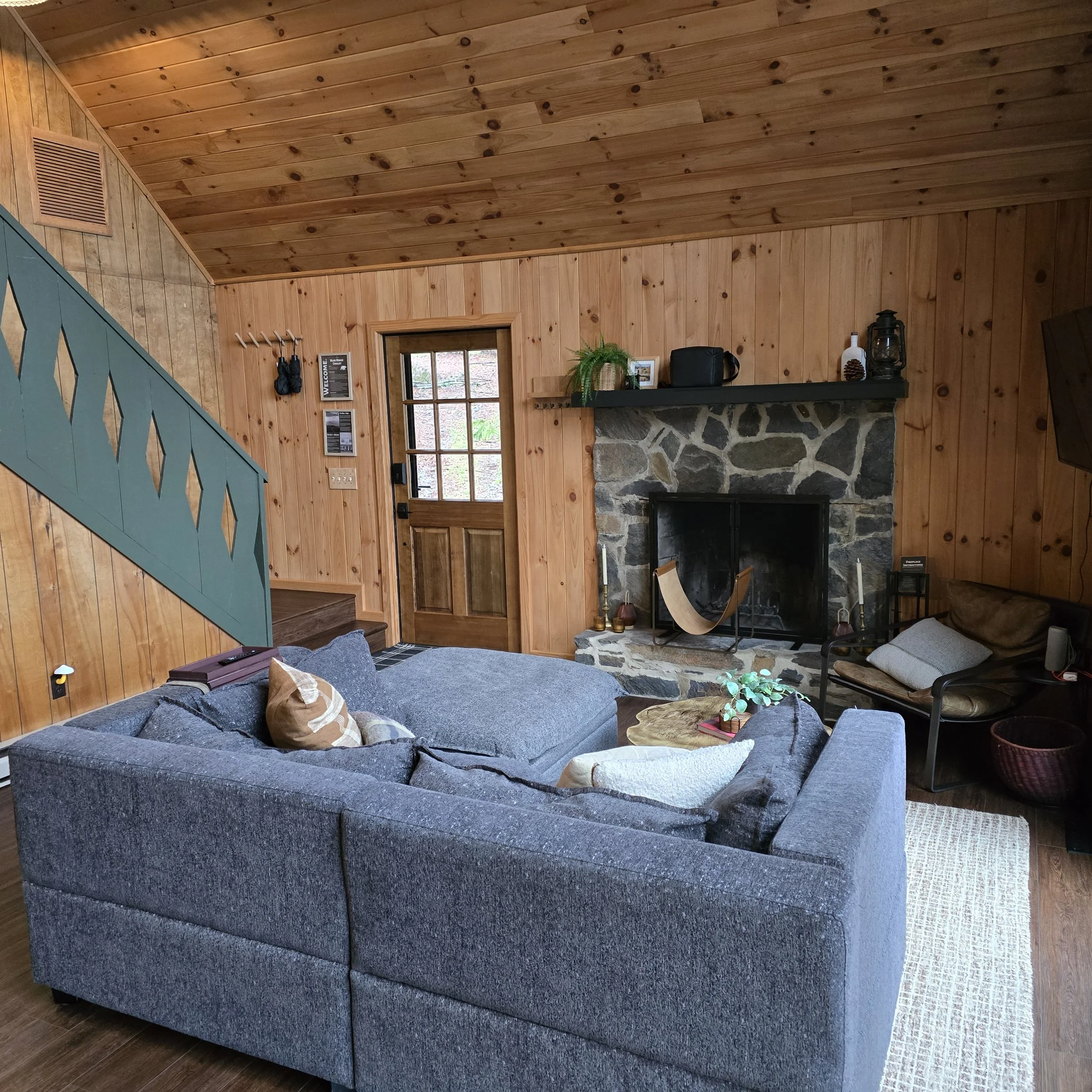 Living Room of Cabin for Real Estate