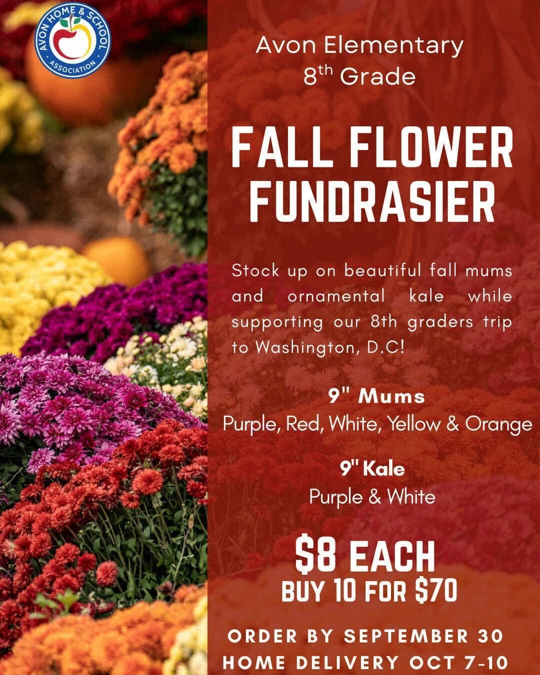 🌼🍂 Last chance for fall flowers!  Today is the FINAL day to order mums and support the 8th Grade Class. 🐯💙 

Order Form: https://docs.google.com/forms/d/e/1FAIpQLScMwlU6_p-5r8Lnqz5d-1YLB0SFyOMJA8A7GcqUy1rbHGsfJA/viewform