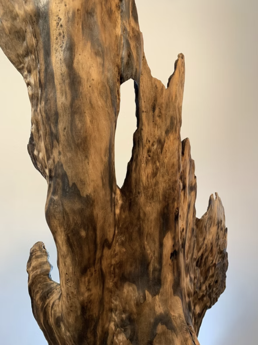 Screenshot 2026-02-15 at 1.00.29 PM.png