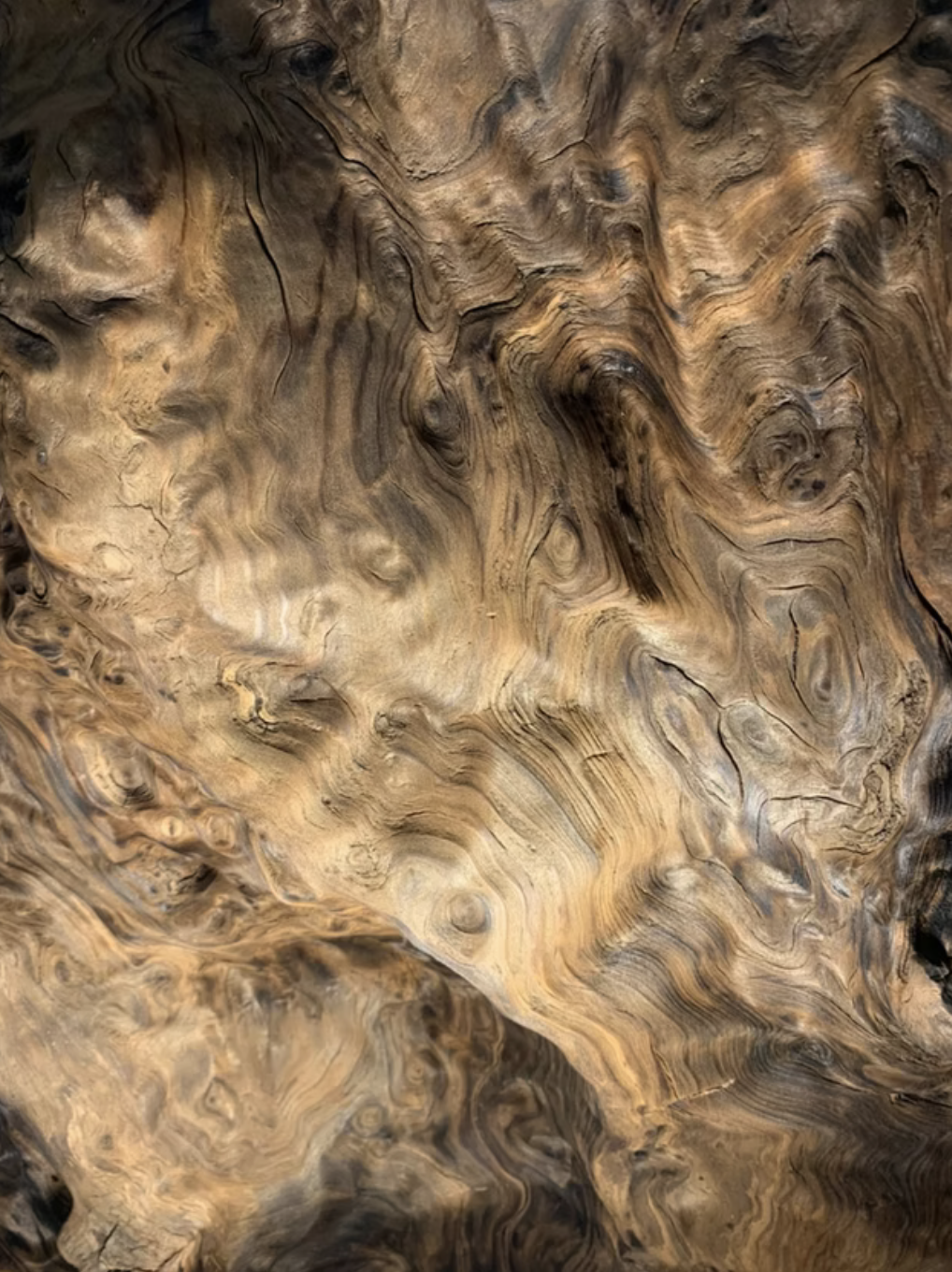 Screenshot 2026-02-11 at 10.51.06 PM.png