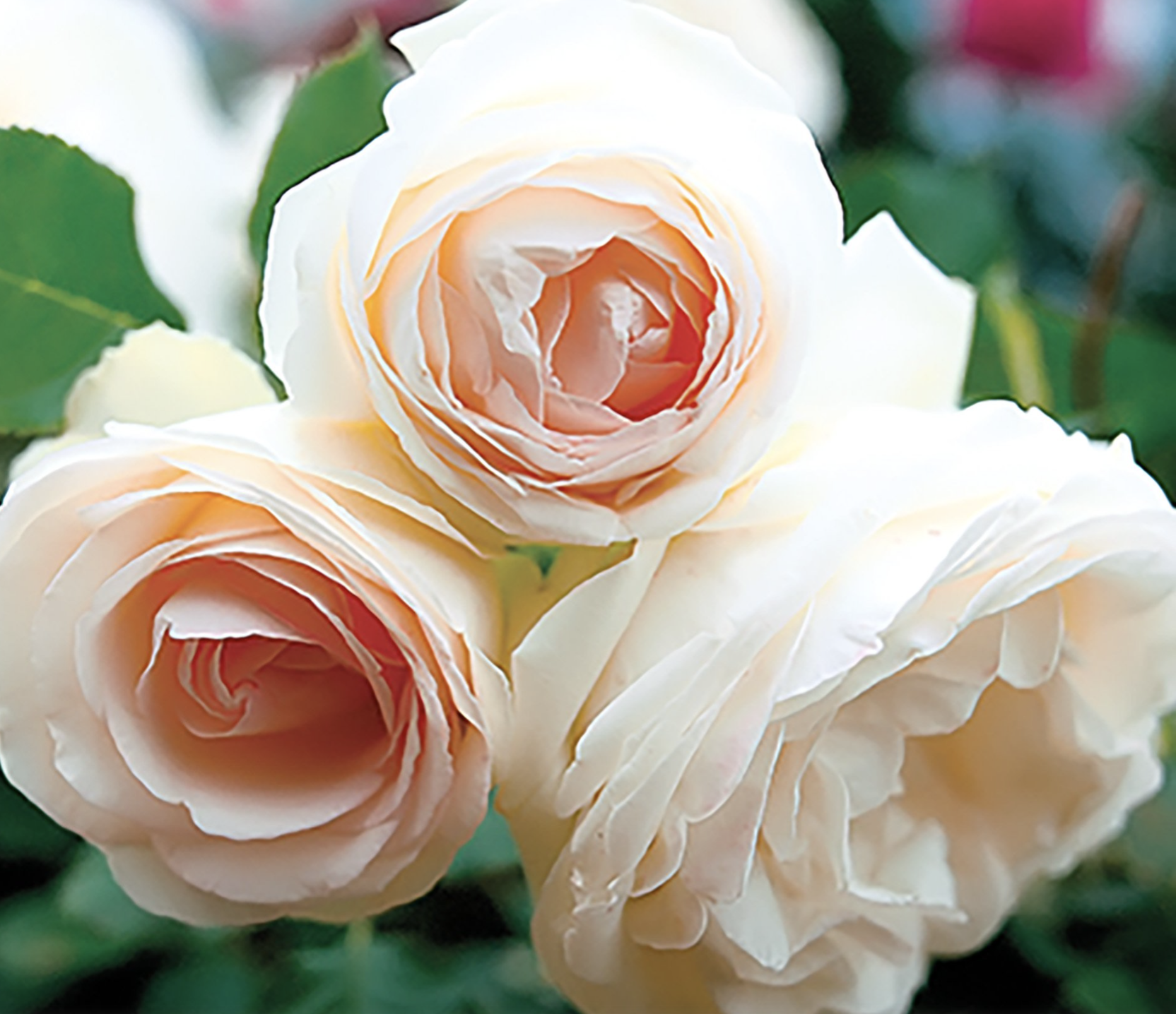 Screen Shot 2025-11-03 at 11.03.35 AM.png