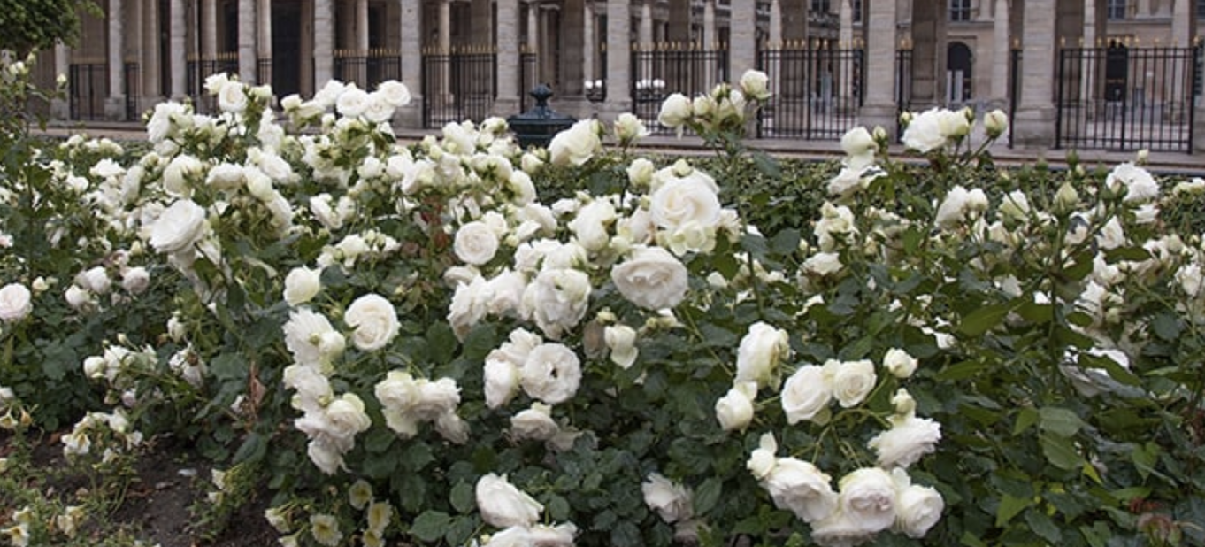 Screen Shot 2025-11-03 at 11.03.47 AM.png