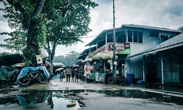 The Useful Ghost: Walking Pulau Ubin