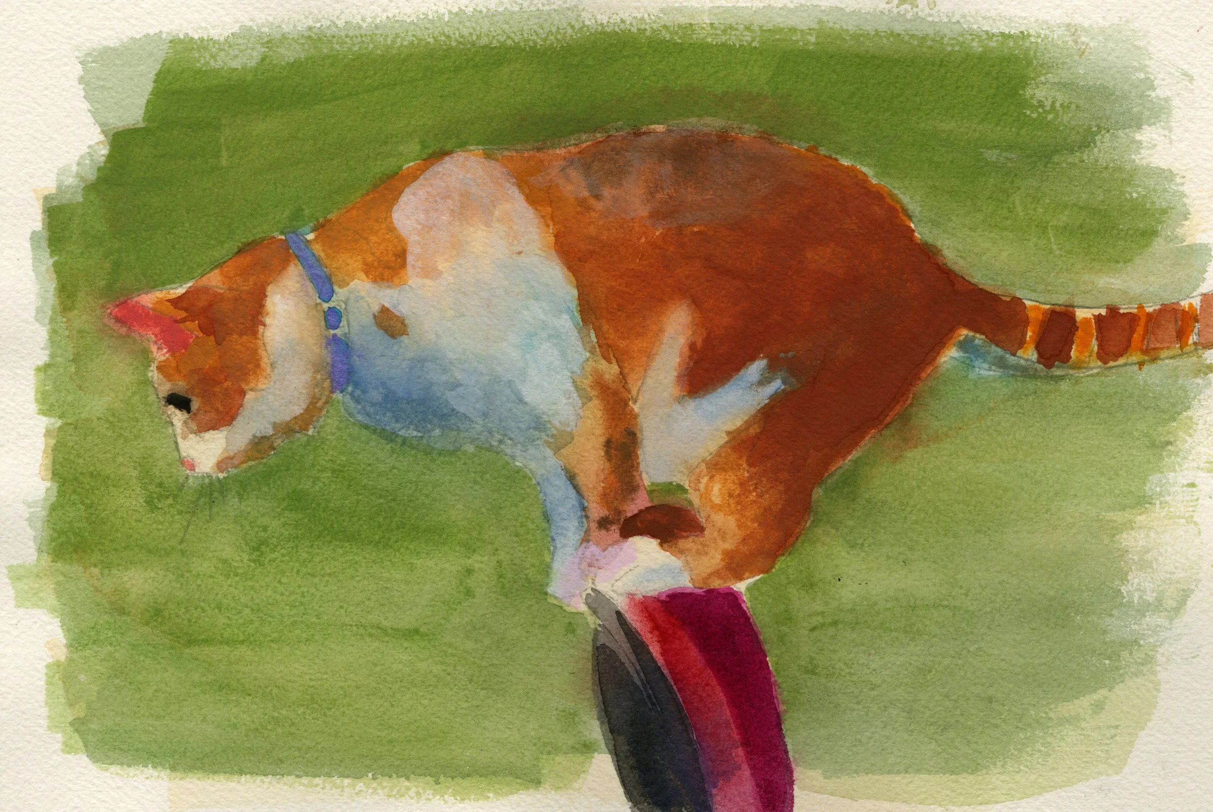 petrole_watercolor_cat.jpg