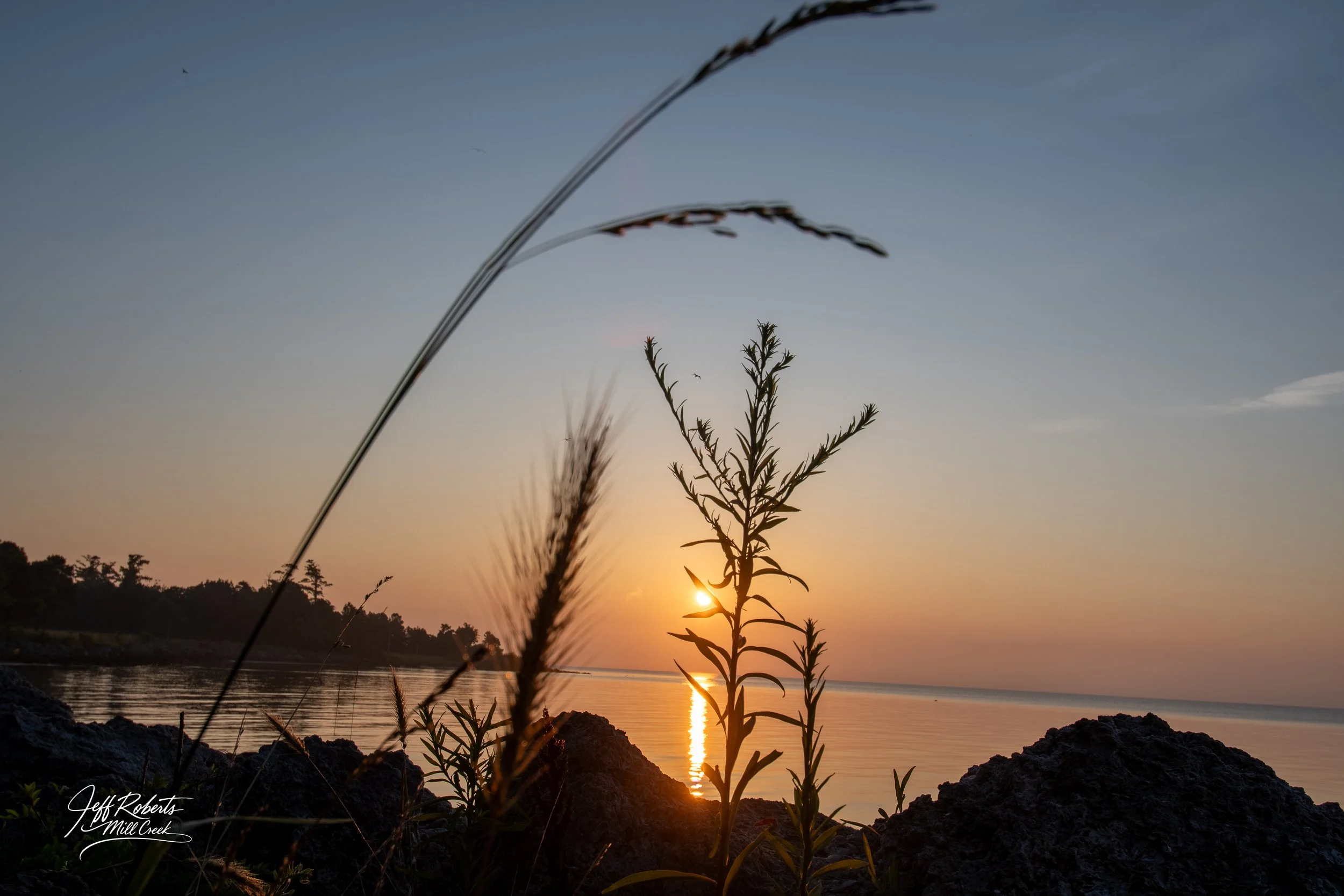 Sunset over a calm body of water with silhouetted plants and rocks in the foreground.