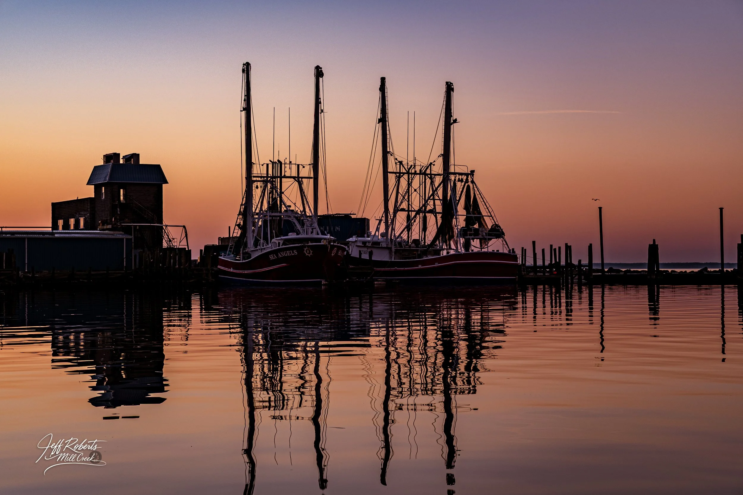 Boats docked at a marina during sunset with calm water reflecting the sky and boats, silhouette of a small building on the left, and a seagull flying in the distance.