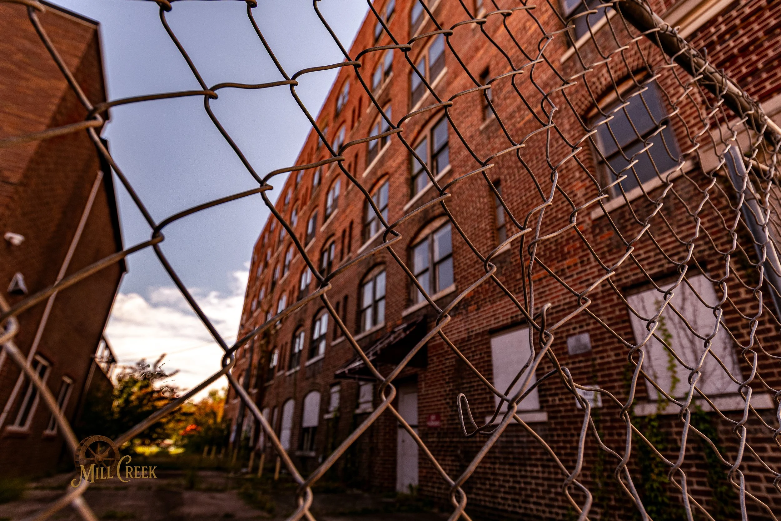 An alleyway between two brick buildings viewed through a metal chain-link fence, with boarded-up windows and a few plants growing on the building walls.