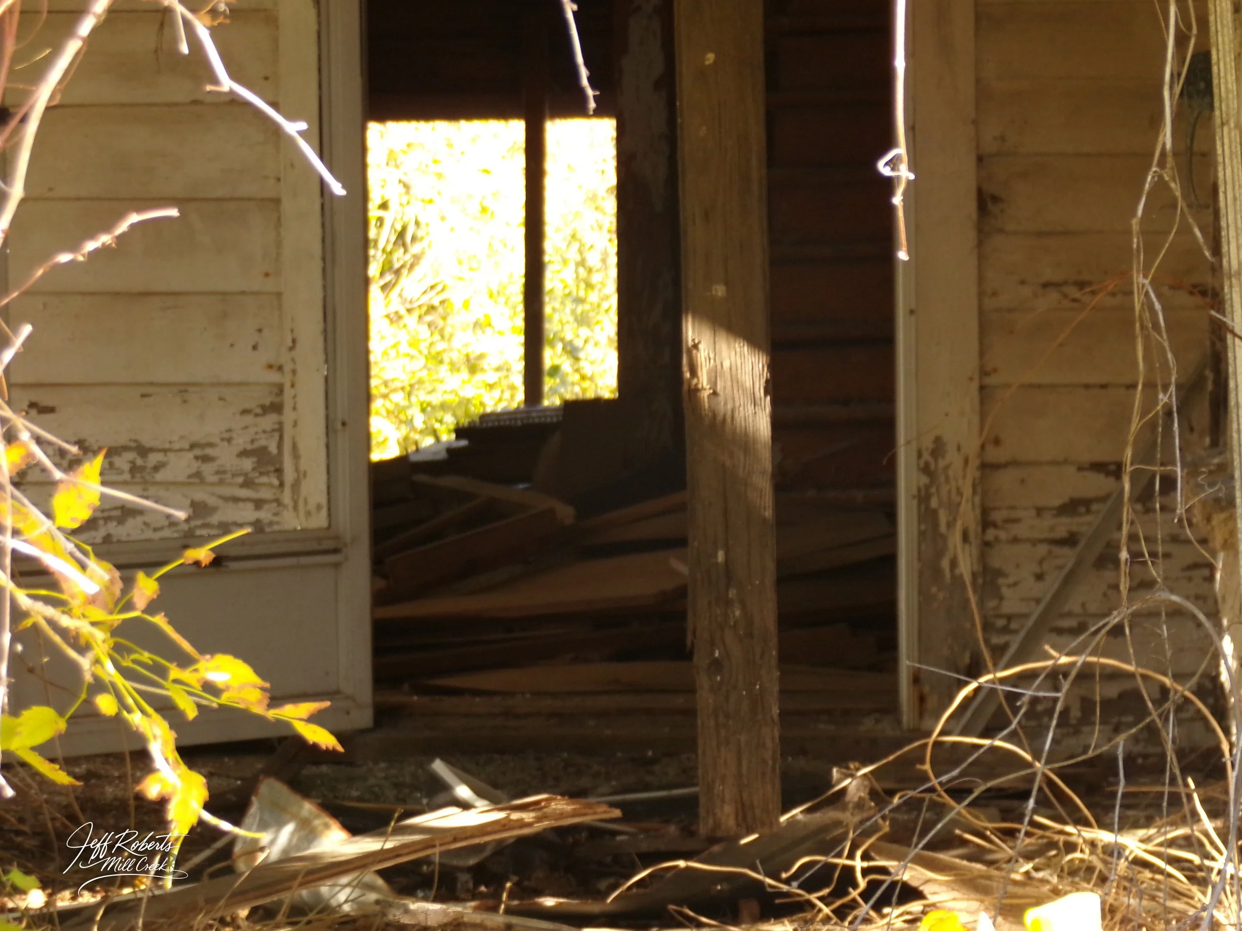 Inside an abandoned, dilapidated wooden house with peeling paint on the walls, broken window, and overgrown with plants and vines outside visible through the doorway.