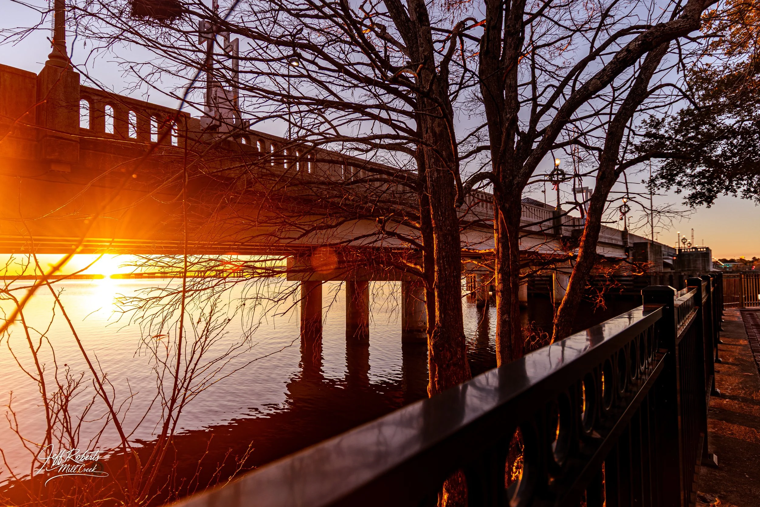 Sunset over a bridge and body of water with leafless trees, a black metal railing, and city buildings in the background.