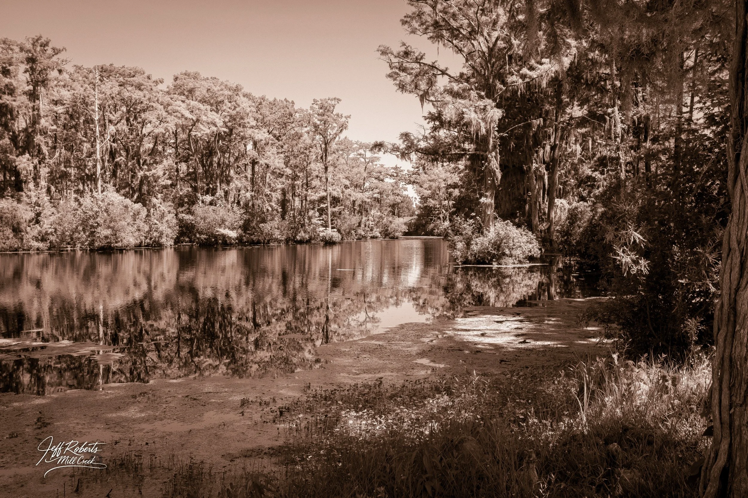 A sepia-toned photograph of a peaceful river with dense trees and bushes along the banks, reflecting in the water under a clear sky.