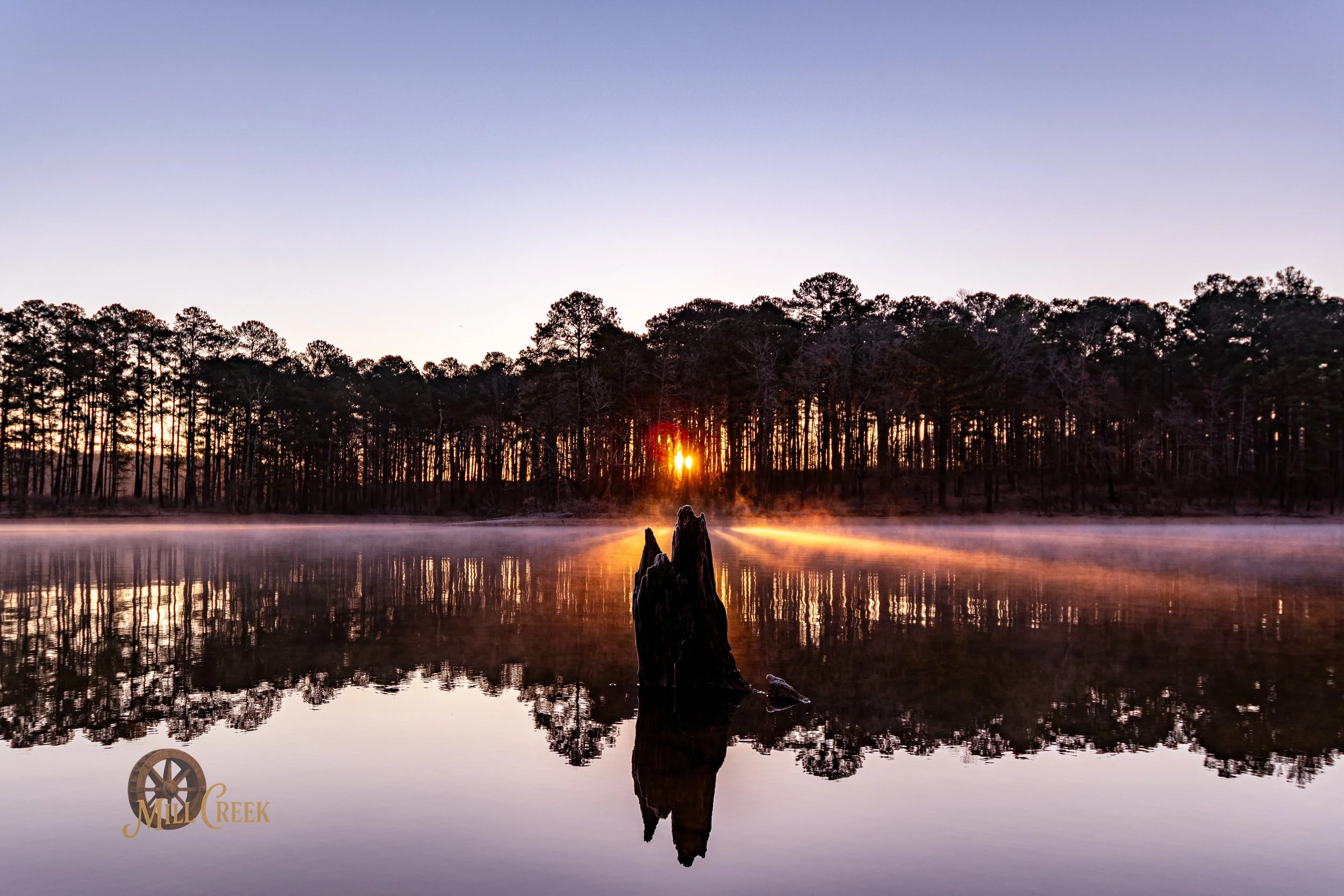 Sunrise over a calm lake with mist, reflected trees, and a dark tree stump in the foreground, with Mill Creek logo in the bottom left corner.