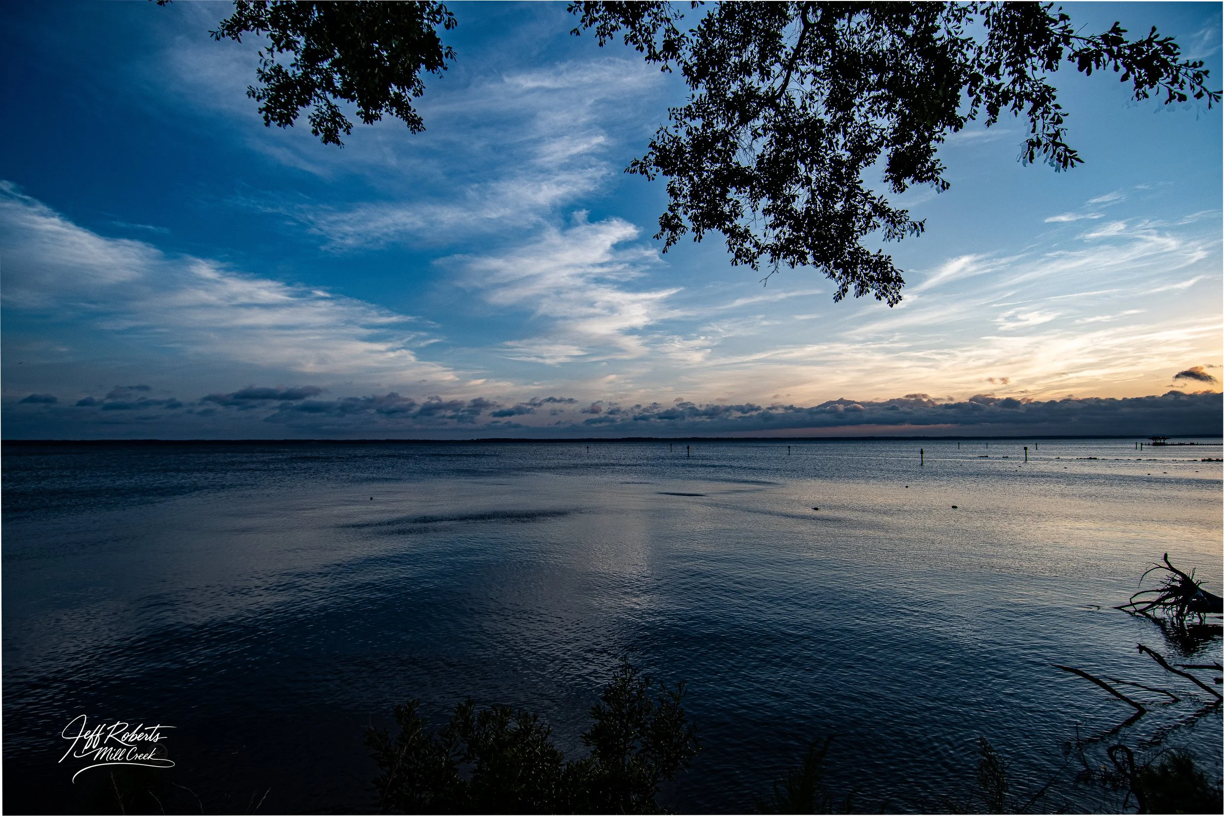 Sunset over a calm body of water with a tree branch and leaves at the top, and some bushes at the bottom, with a sky filled with wispy clouds.