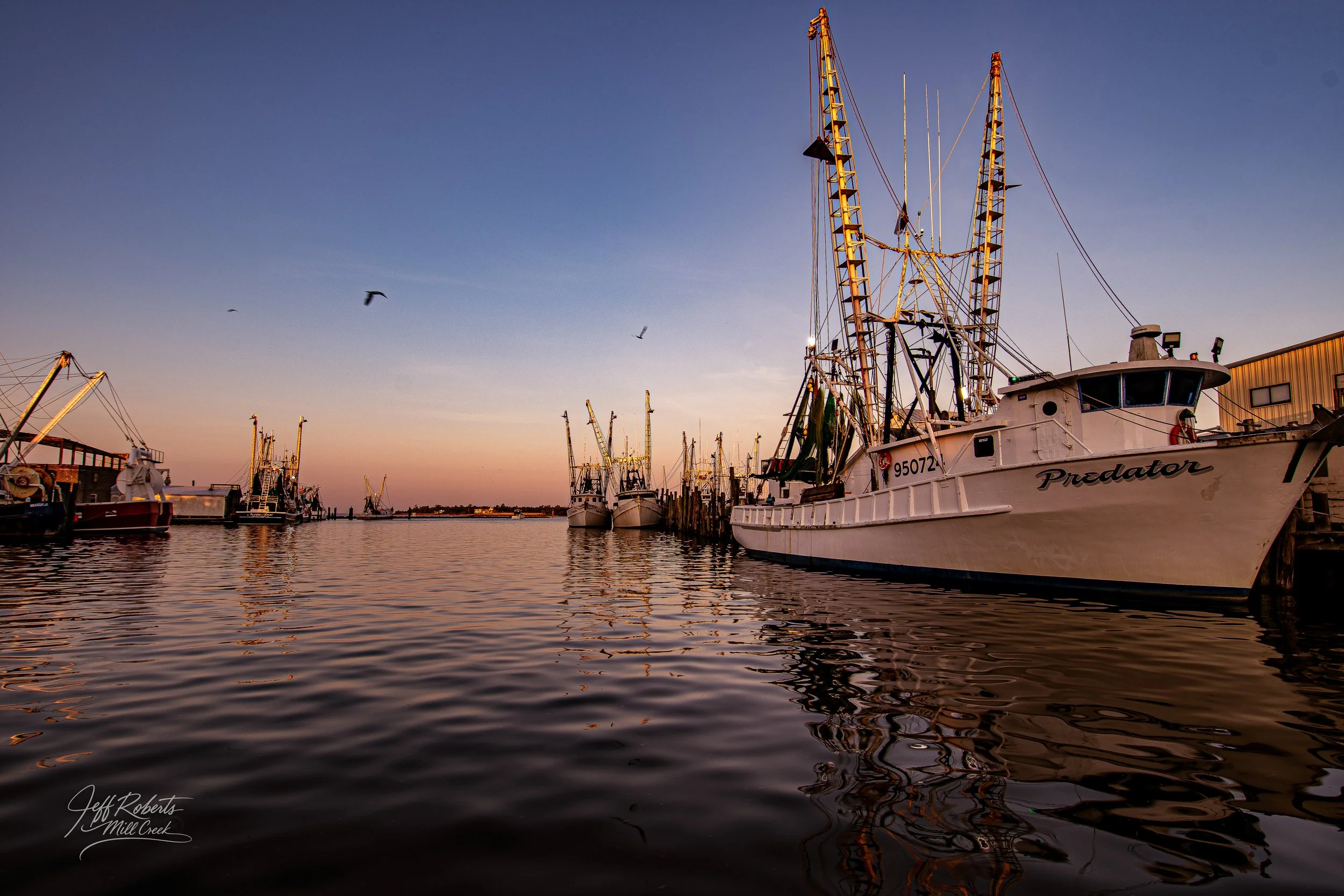 A marina at sunset with several boats docked, including a white boat named Predator in the foreground, and a clear sky with a few birds flying.