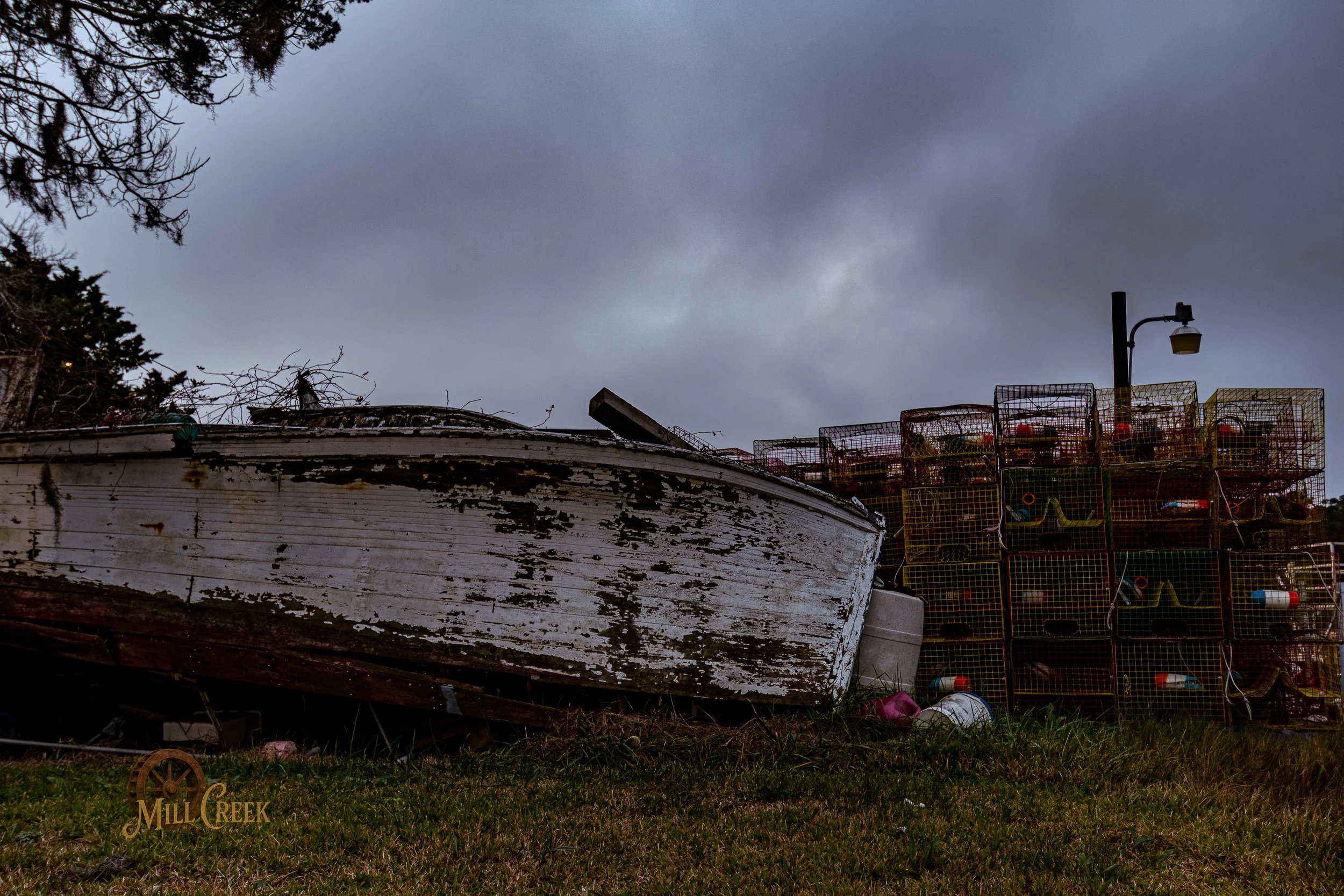 MCP-2026-Sneads Ferry-Invasion-17.jpg