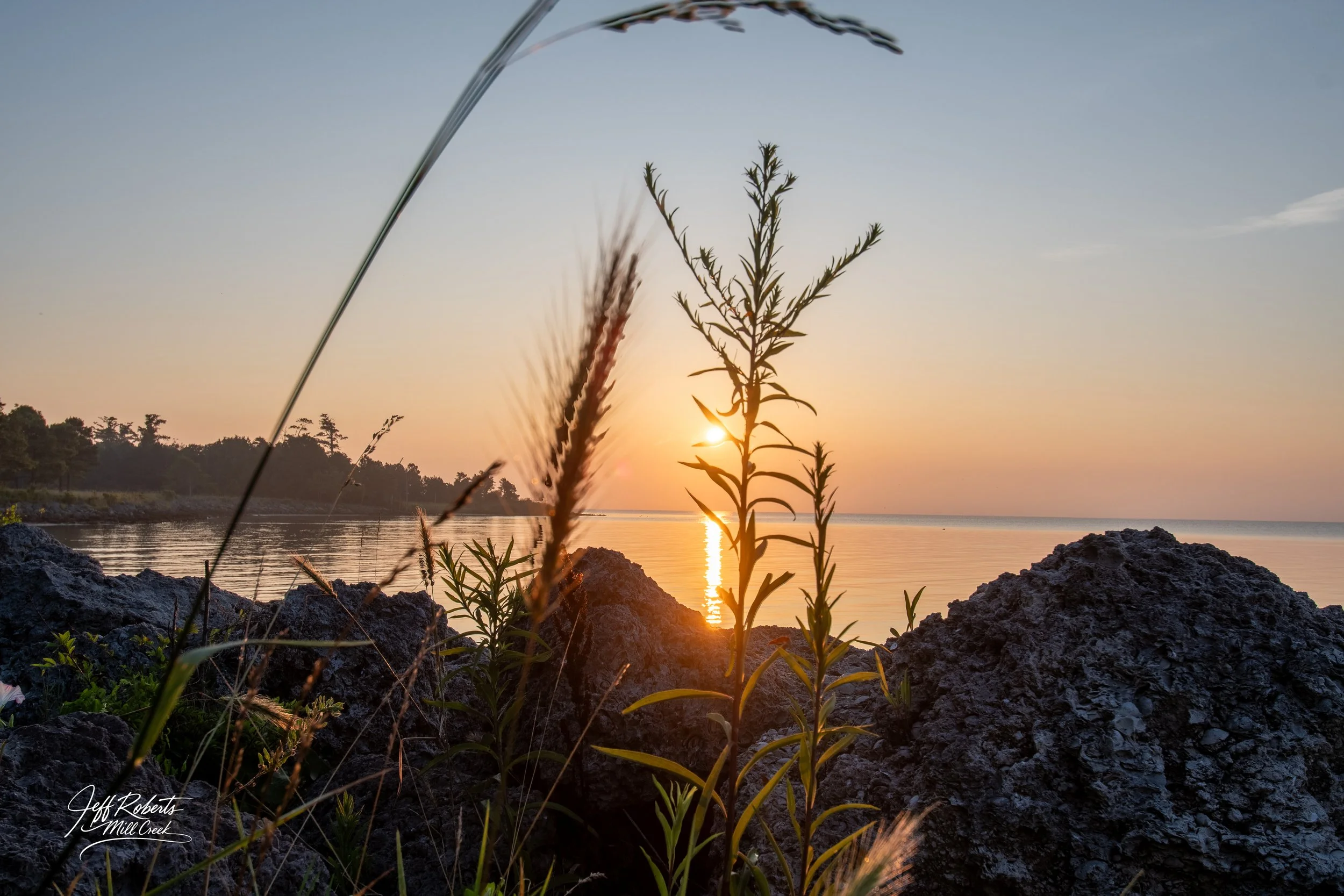 Sunset over a calm body of water with rocks and tall grass in the foreground.