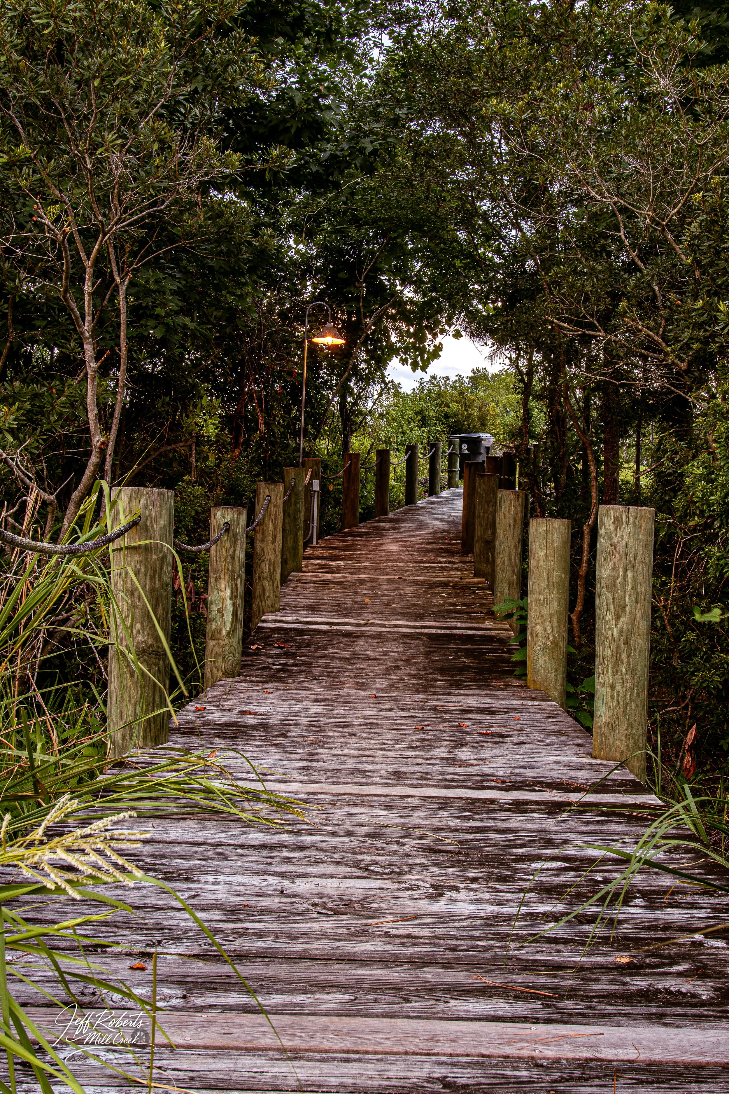 Wooden bridge with railings surrounded by dense trees and greenery, with a street lamp illuminating the path